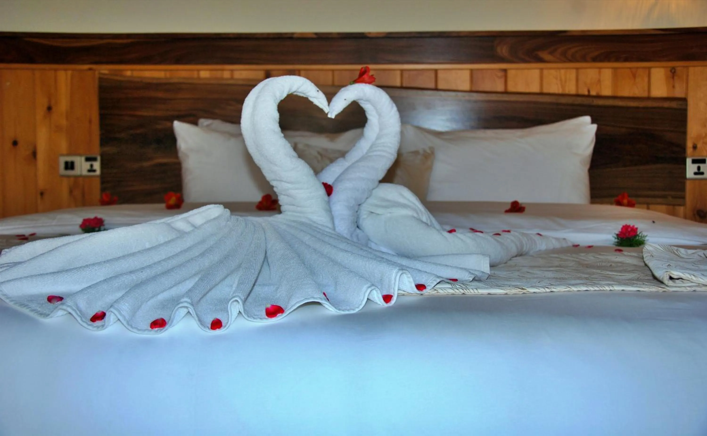 Decorative detail, Bed in Cottage San Francesco