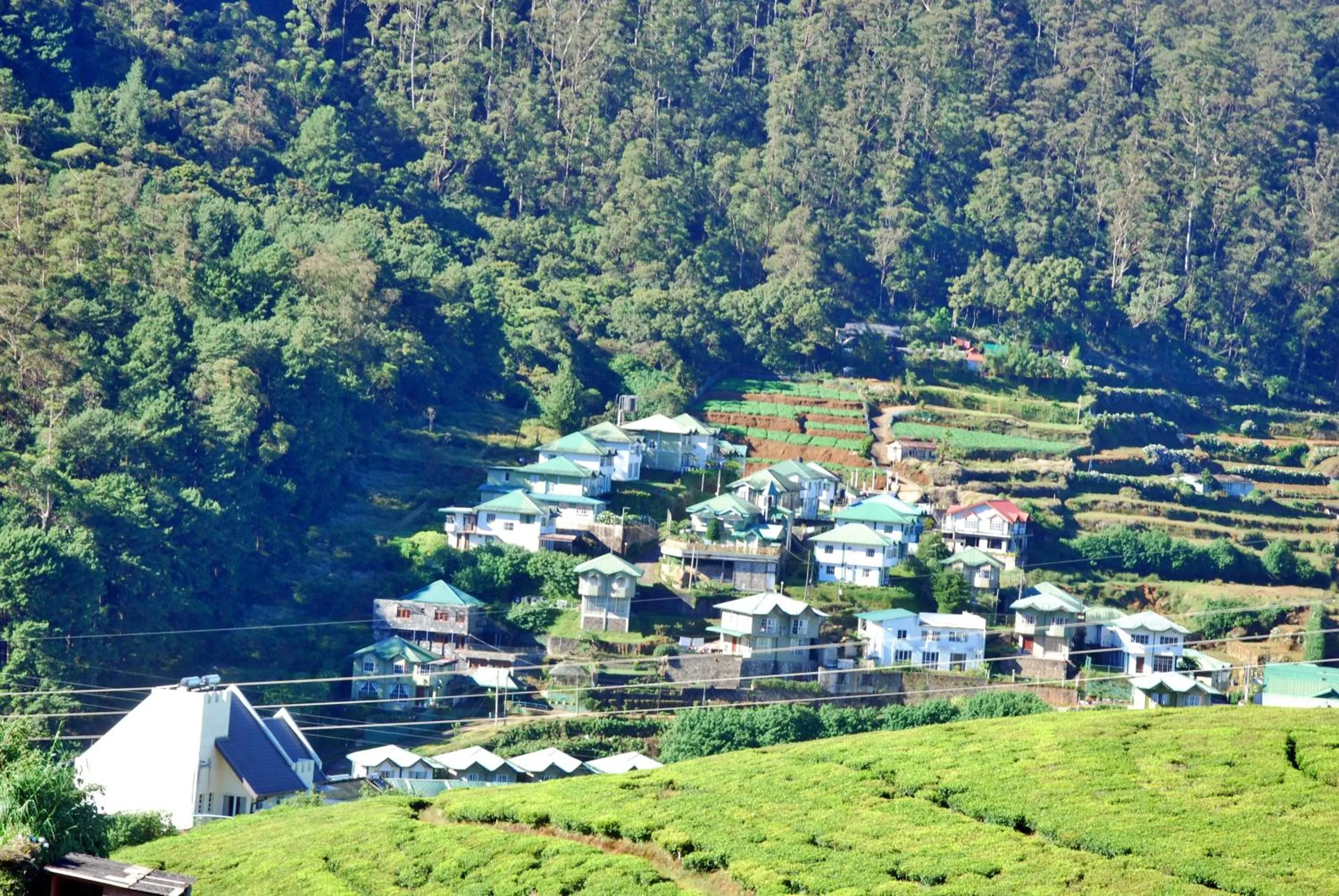 Neighbourhood in Cottage San Francesco