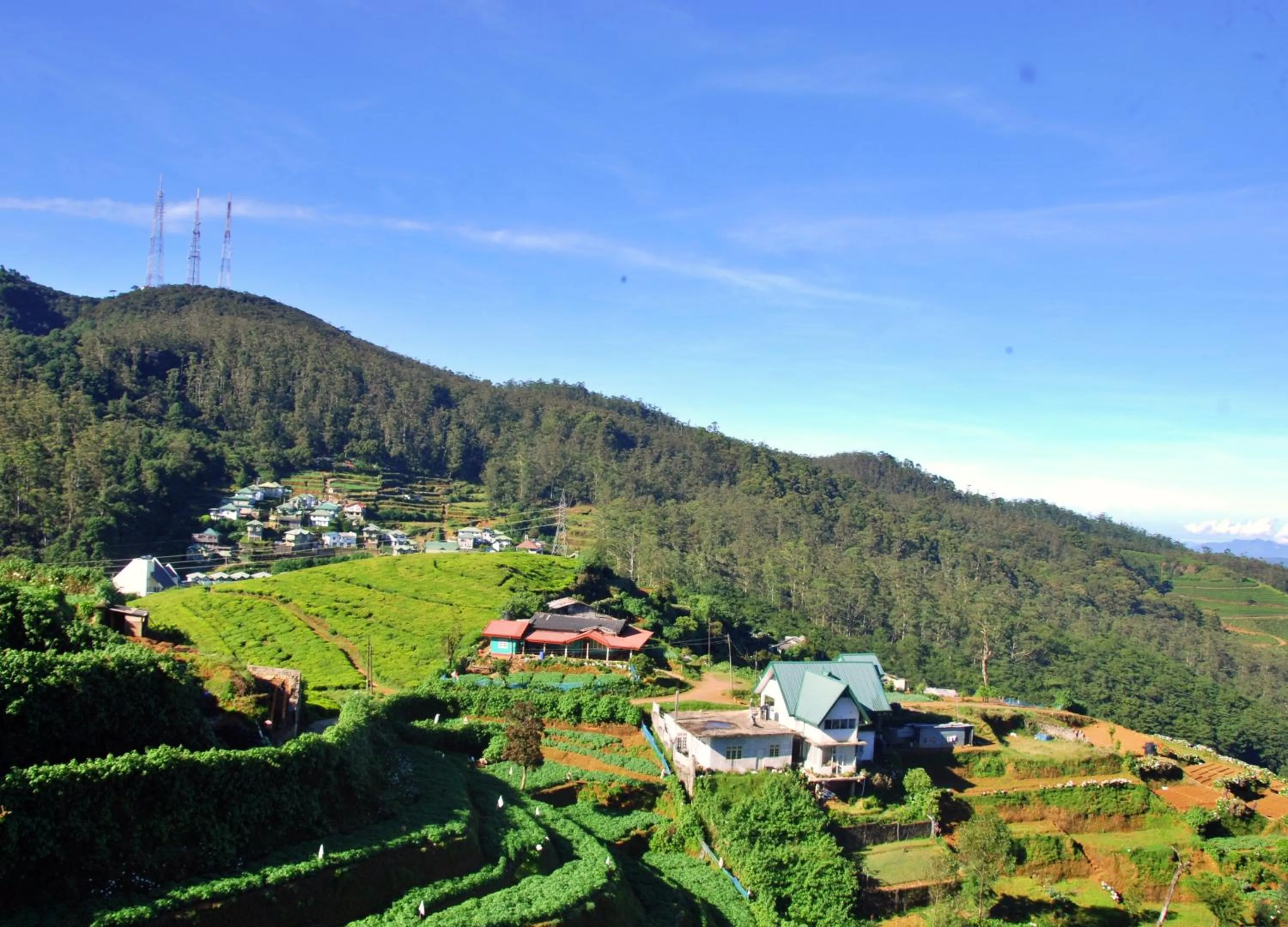 Natural landscape in Cottage San Francesco