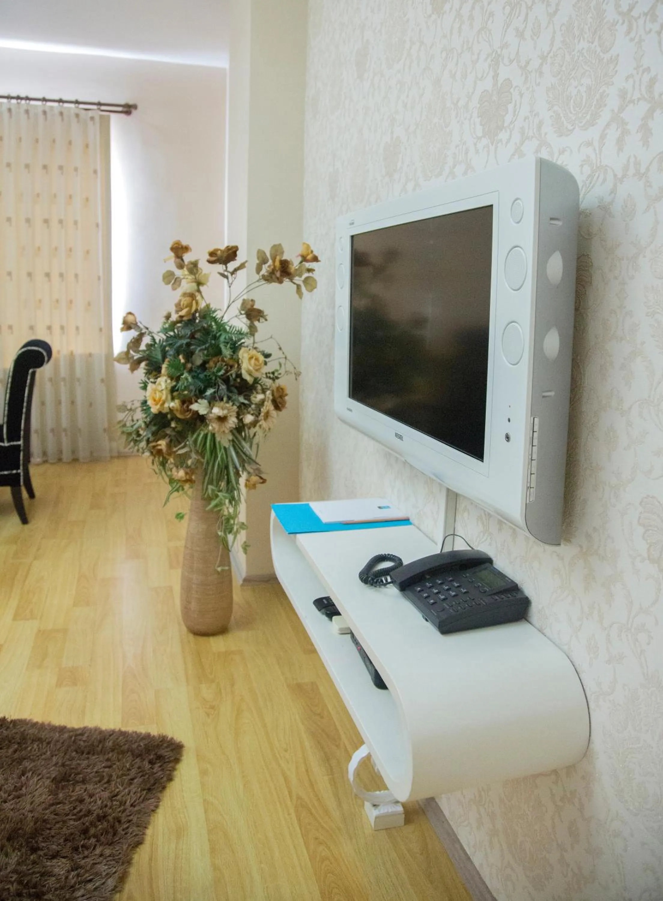 TV and multimedia in Airport Residence