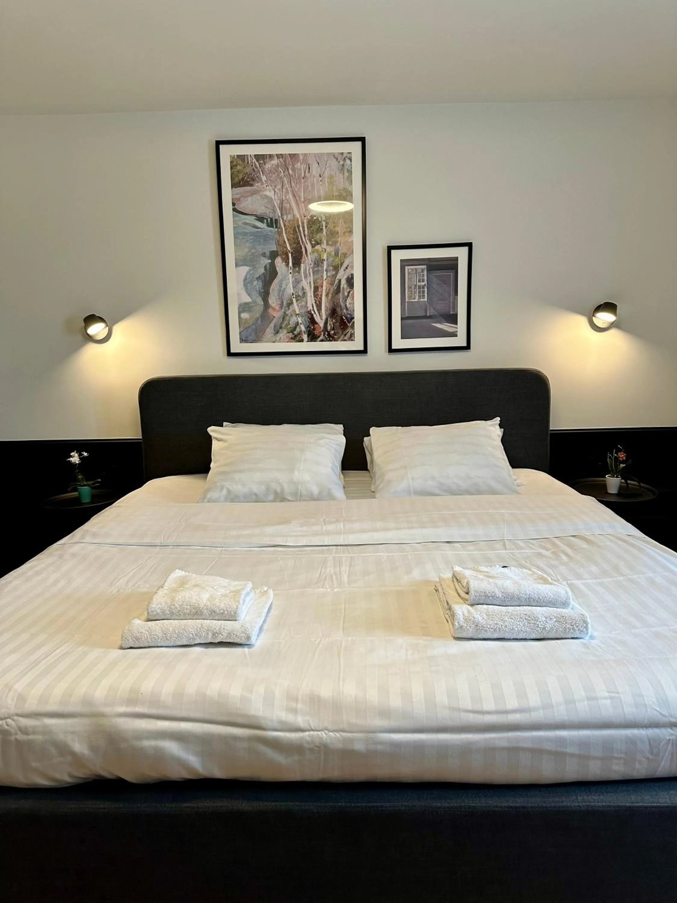 Bed in Panoramic Cetatuie