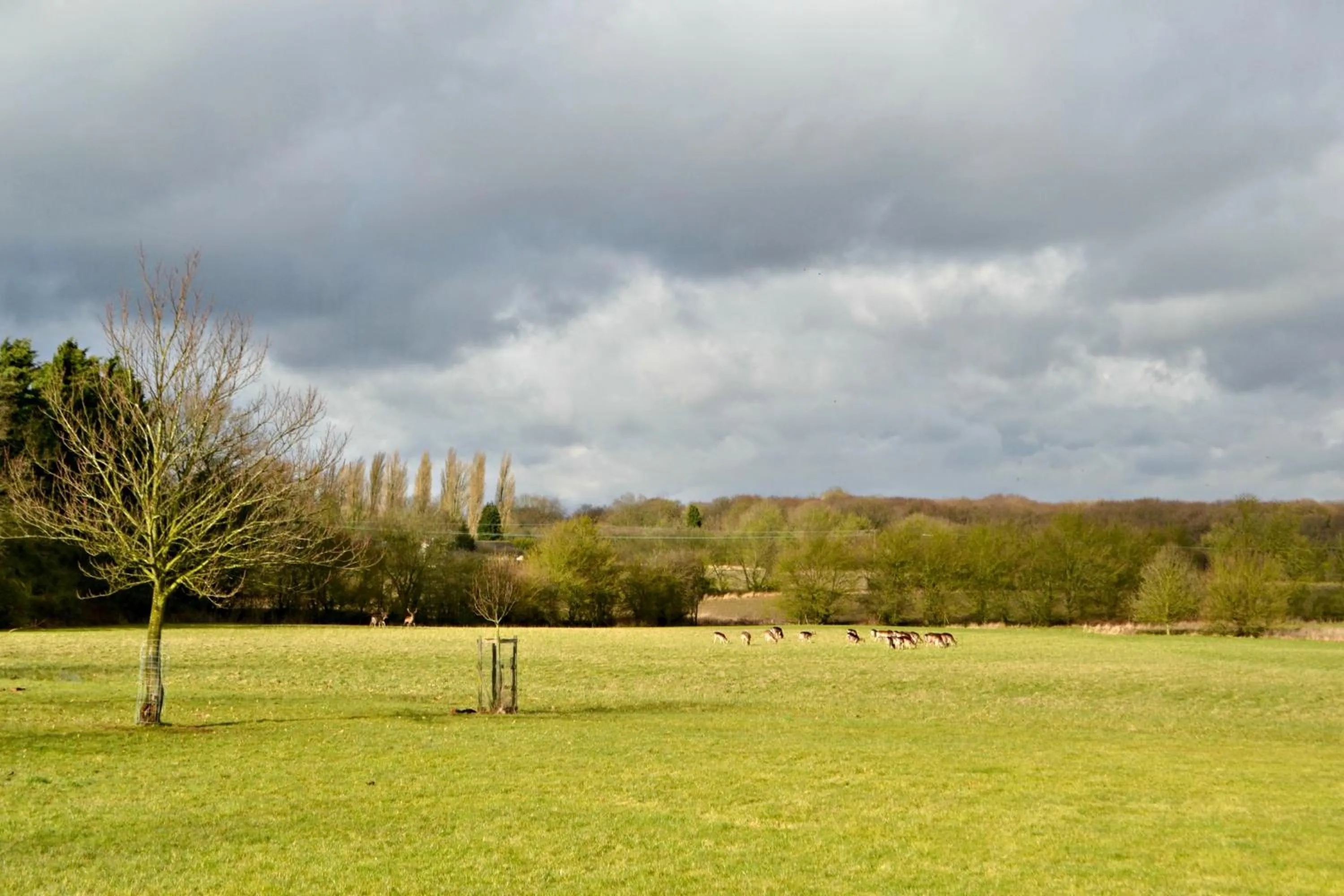 Garden in Little Bullocks Farm