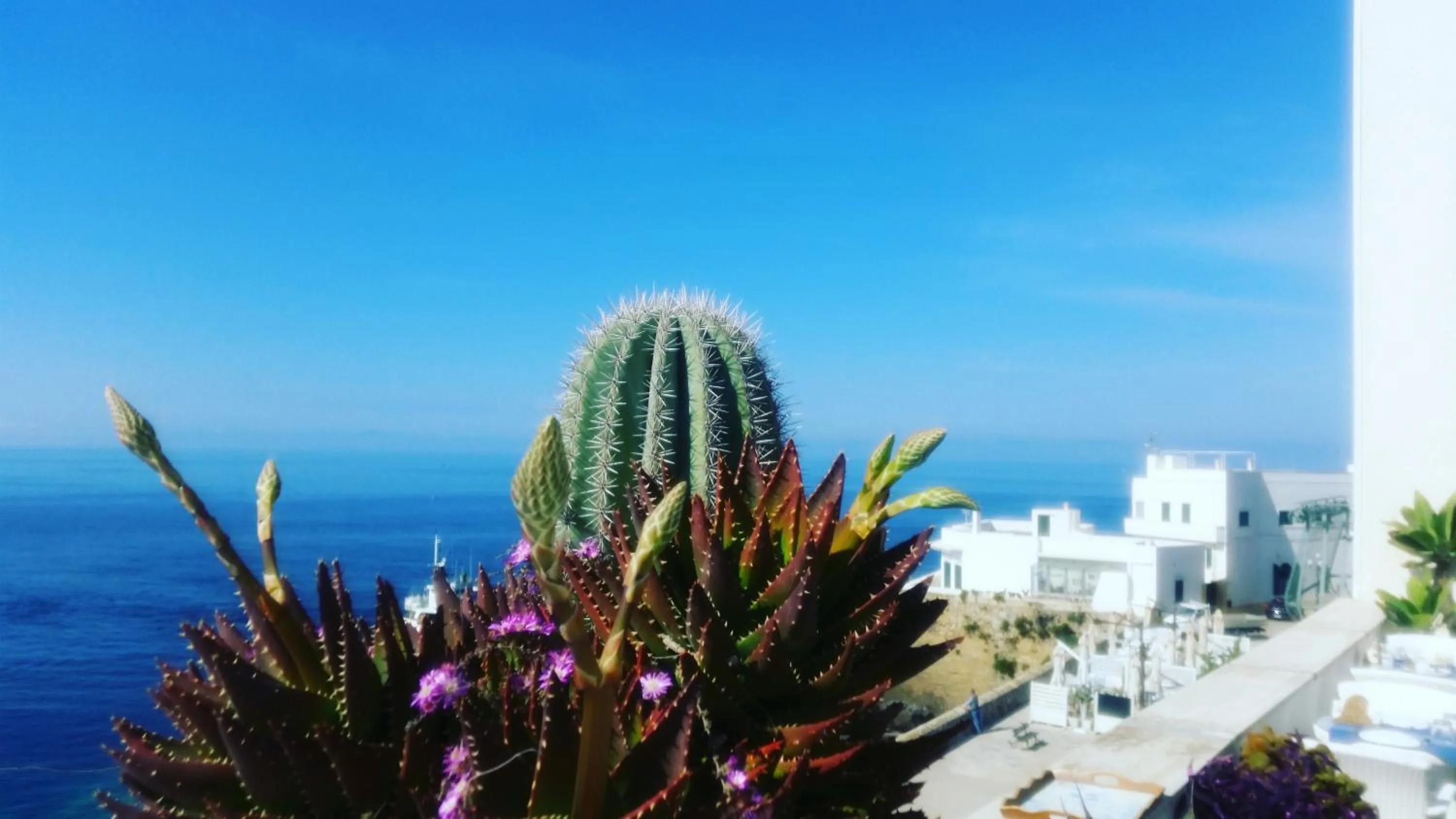 Natural landscape in B&B Punta Cutieri