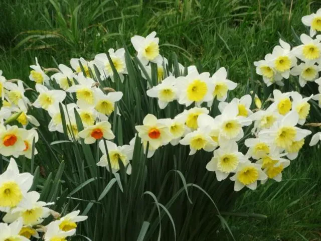 Chambres d'hôtes " Moulin du Couedic "