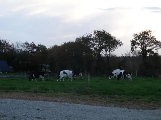 Chambres d'hôtes " Moulin du Couedic "