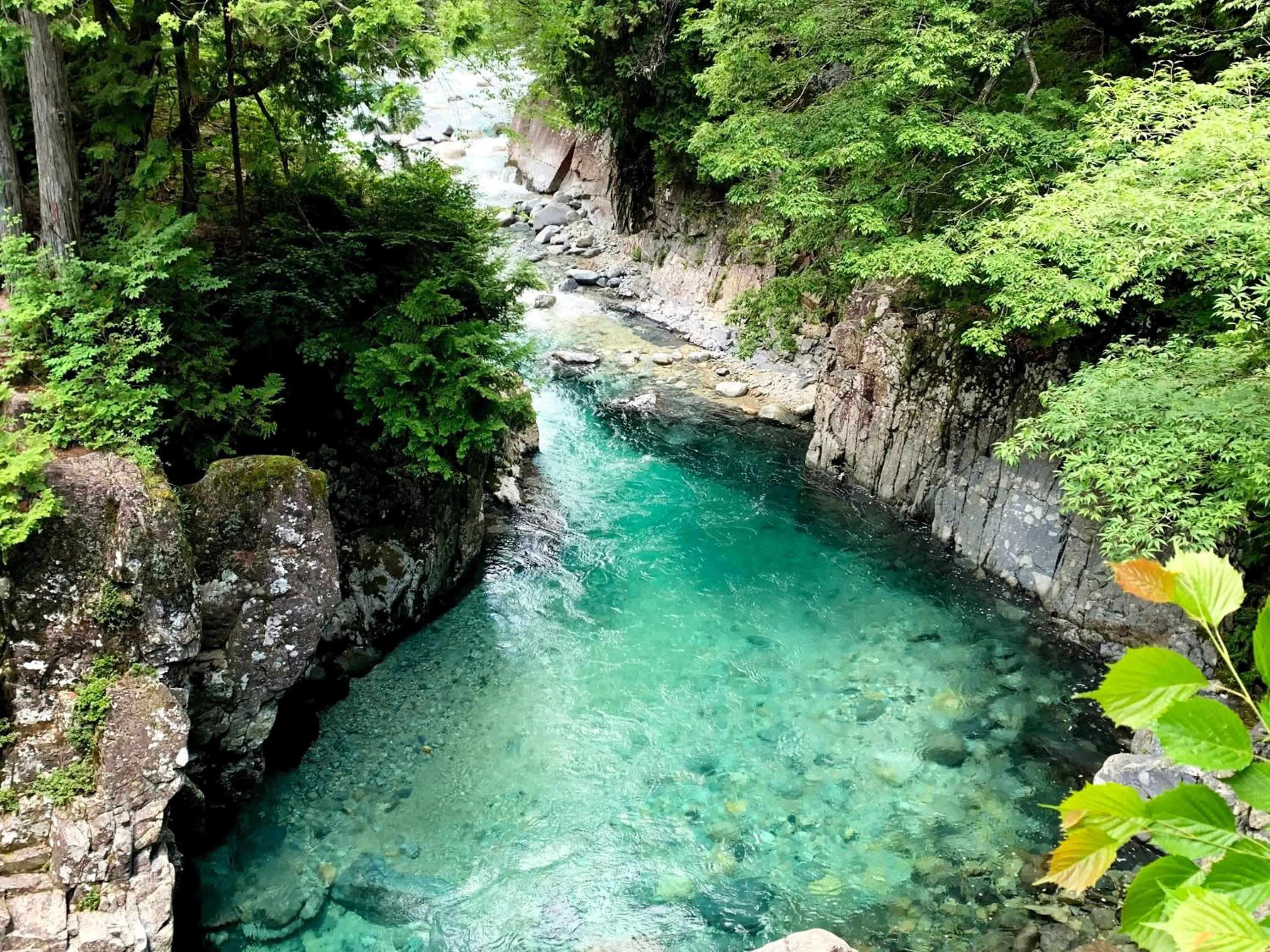 Off site in 阿寺温泉 フォレスパ木曽あてら荘