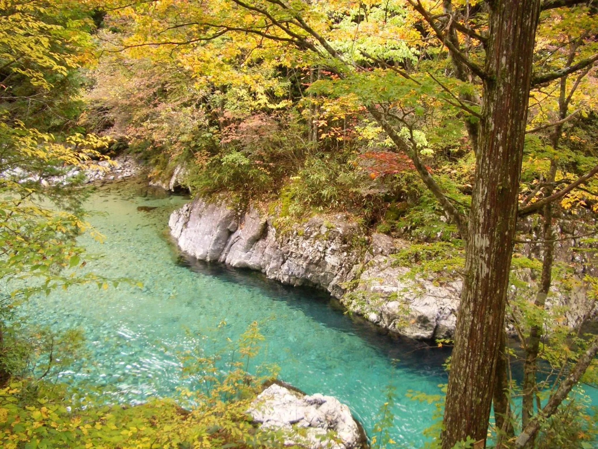 Off site in 阿寺温泉 フォレスパ木曽あてら荘