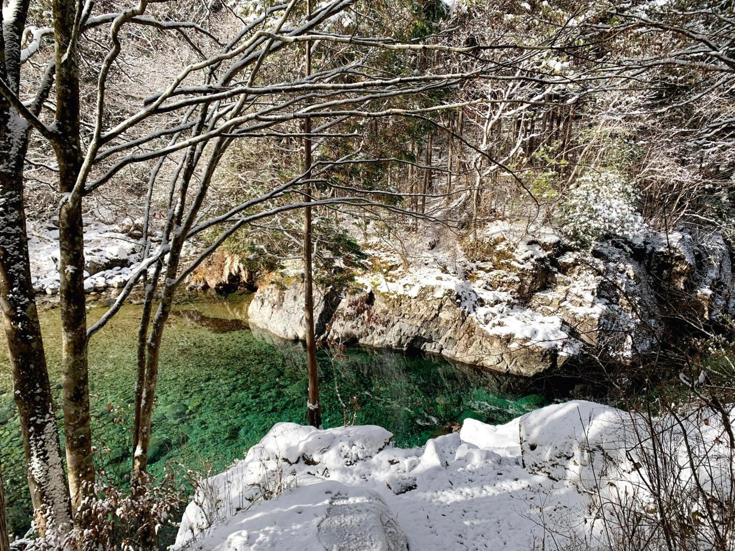Off site in 阿寺温泉 フォレスパ木曽あてら荘