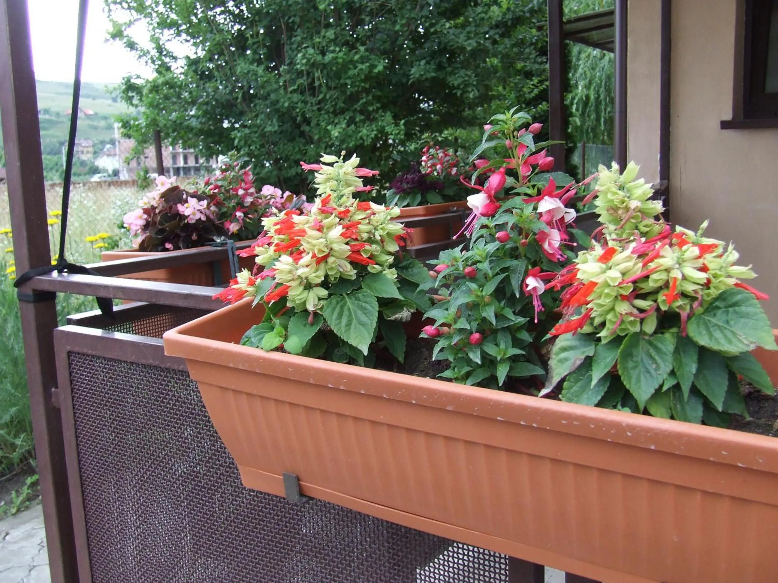 Facade/entrance in Pensiunea Caramell