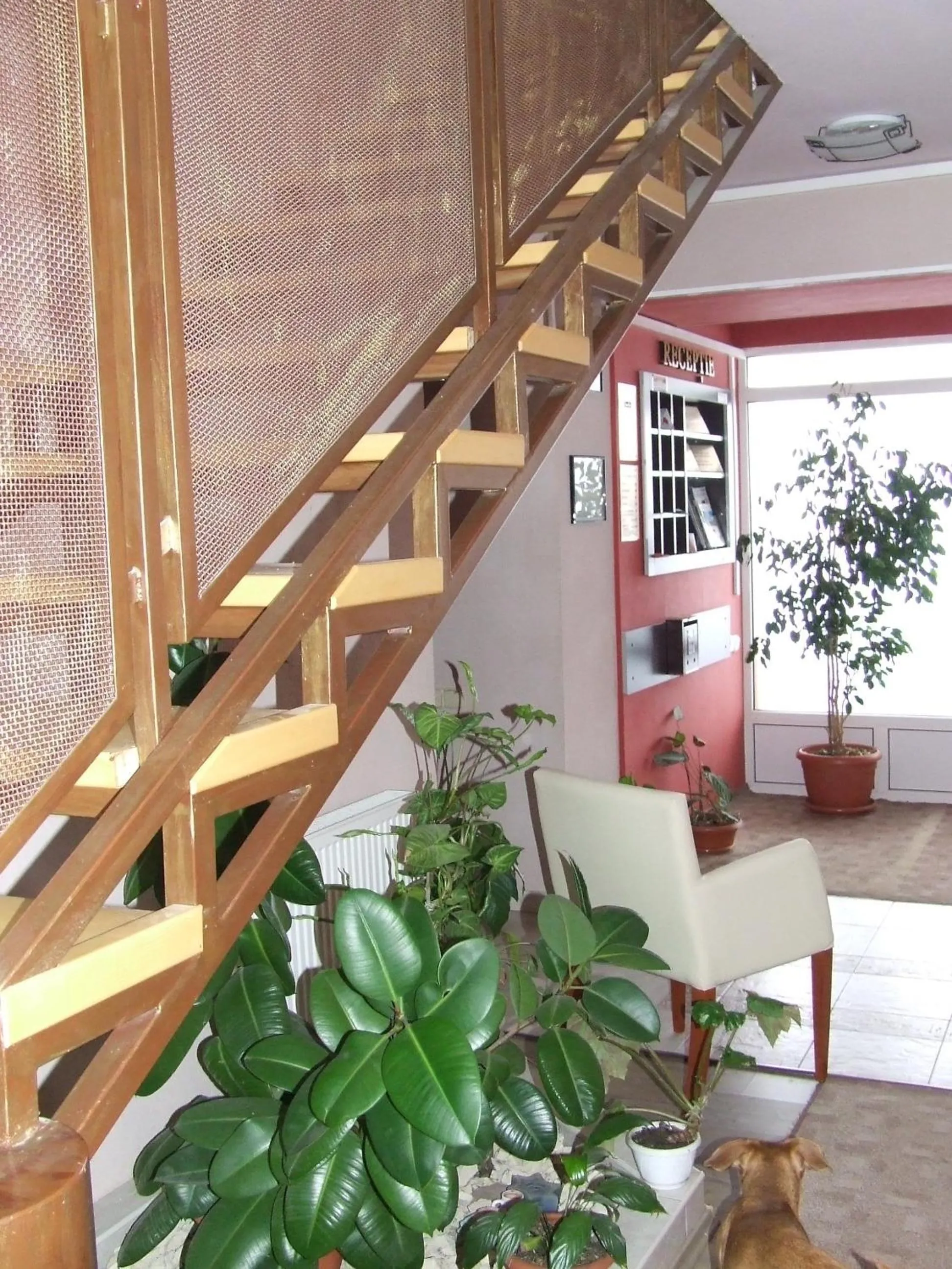 Facade/entrance in Pensiunea Caramell