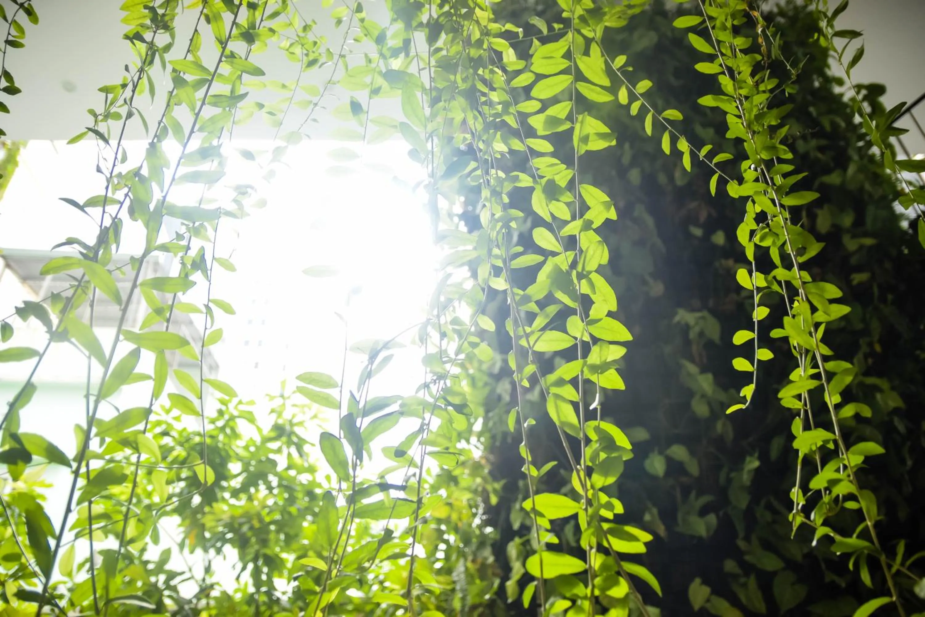Decorative detail in Babylon Garden Da Nang
