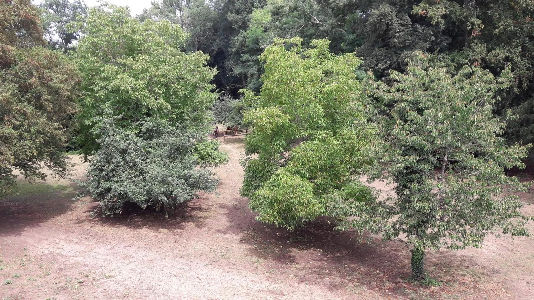 Garden view in Le petit plessis