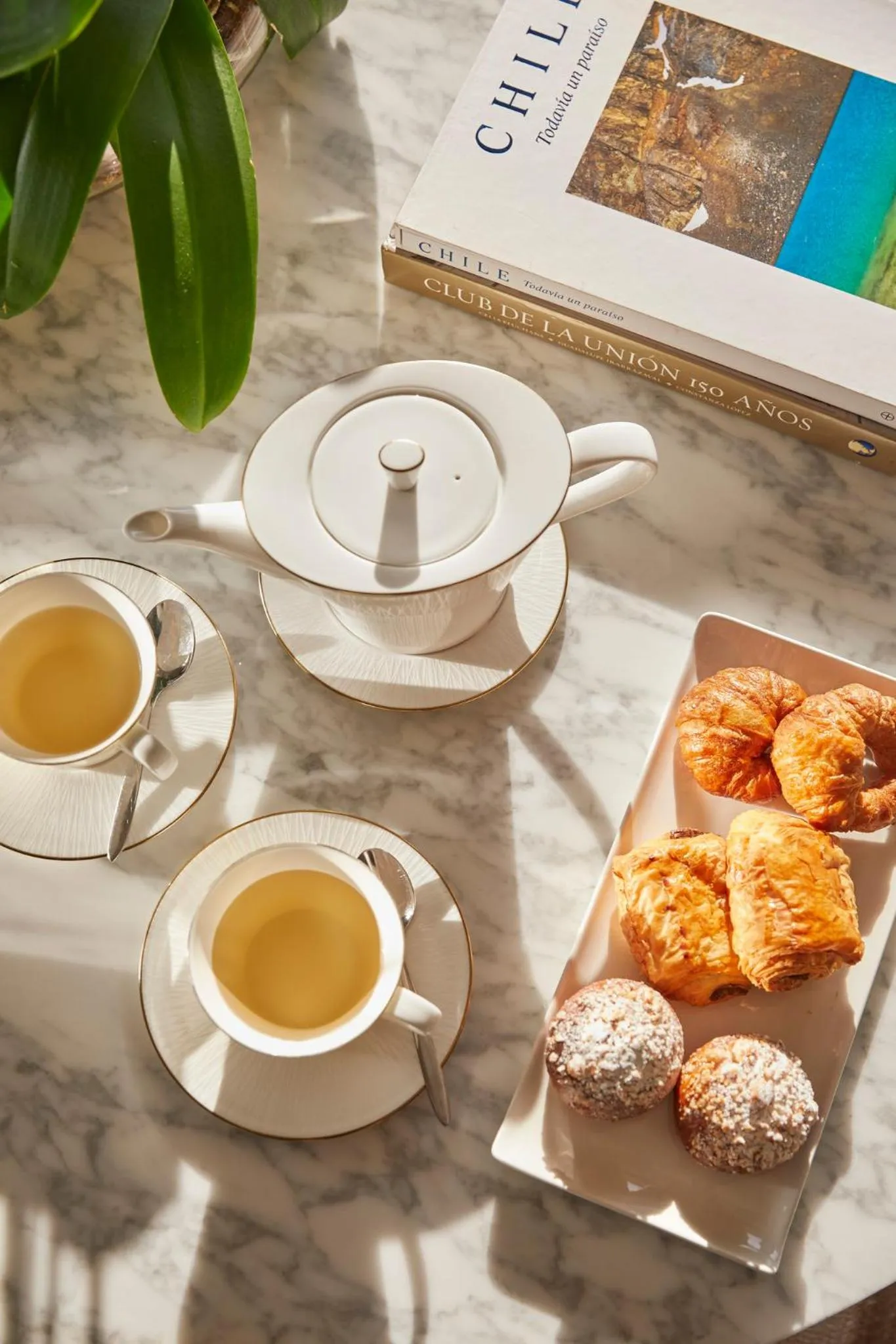 Restaurant/places to eat in Mandarin Oriental, Santiago