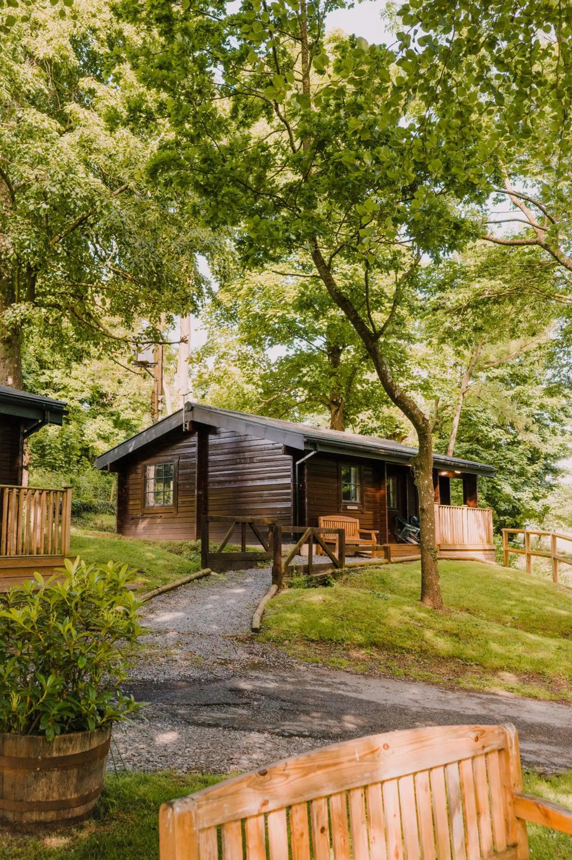 Natural landscape in The Jonas Centre