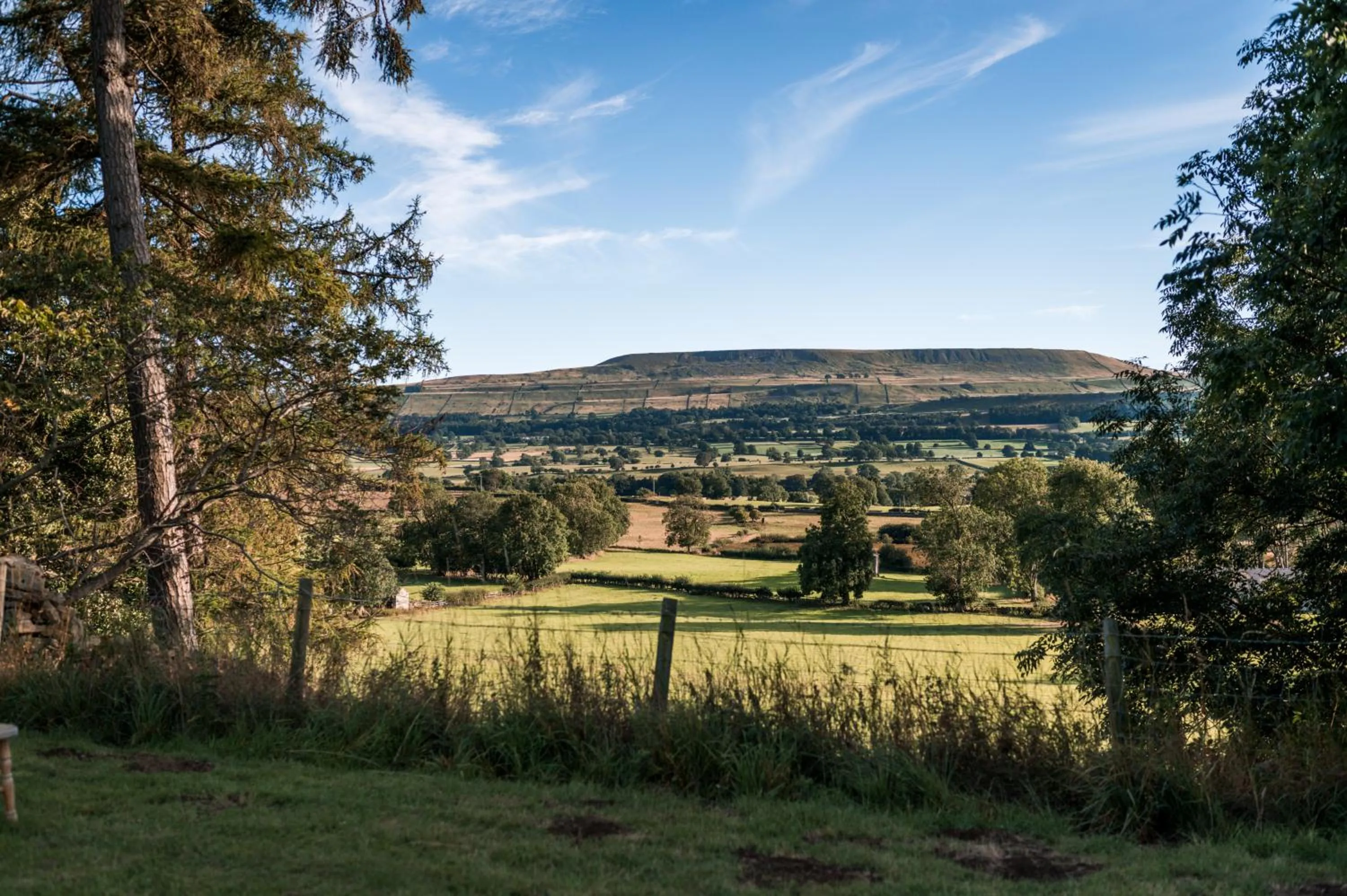 Natural landscape in The Jonas Centre