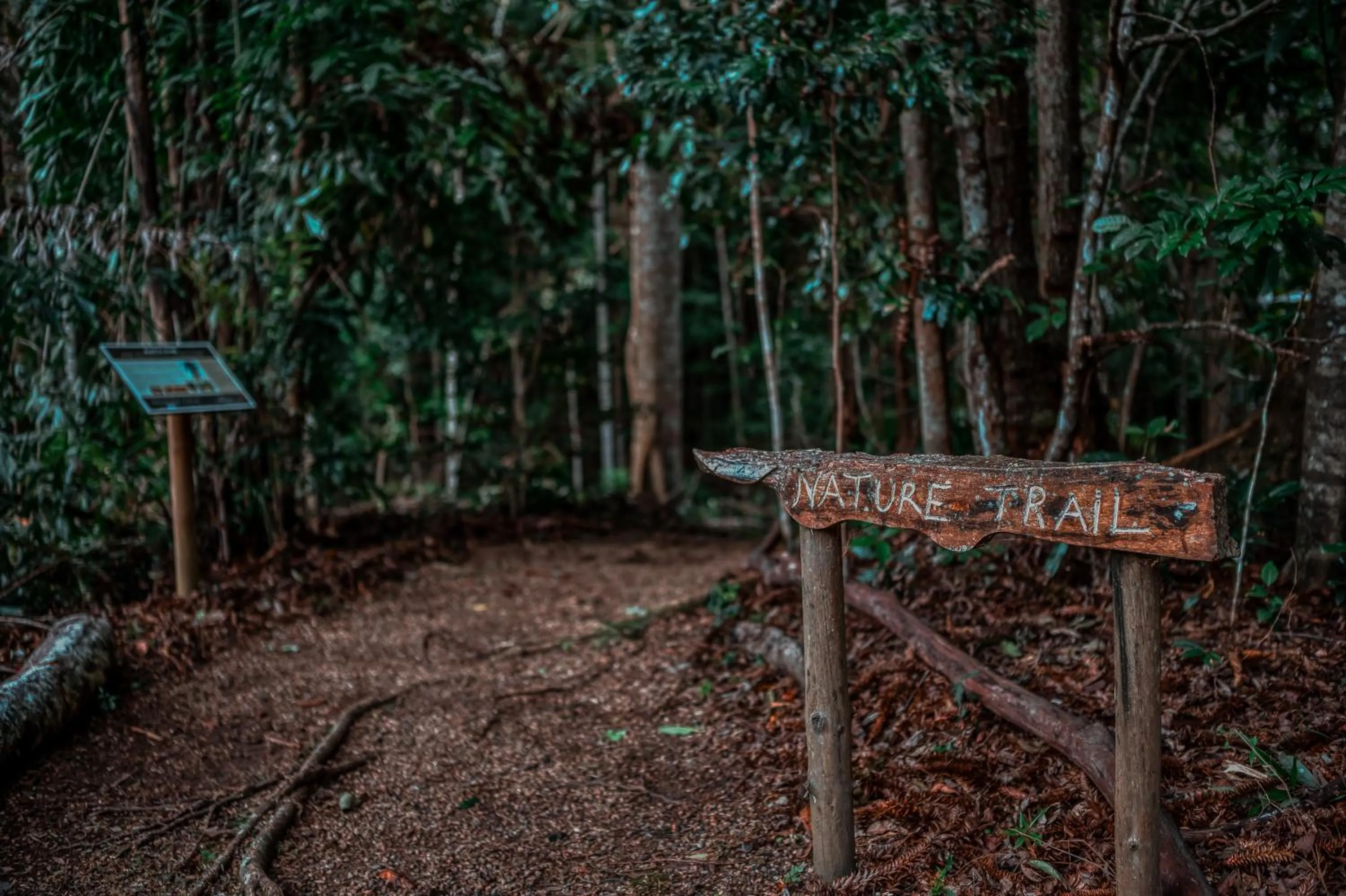 Natural landscape in Narrows Escape Rainforest Retreat