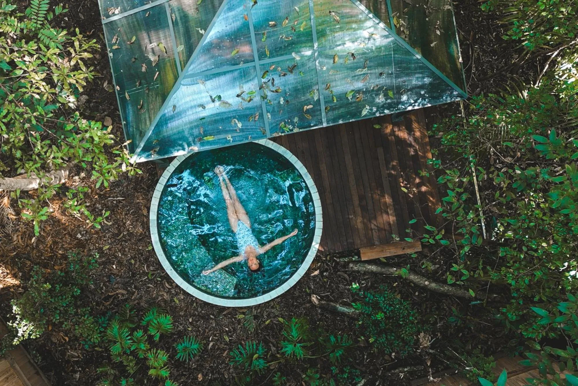 Natural landscape in Narrows Escape Rainforest Retreat