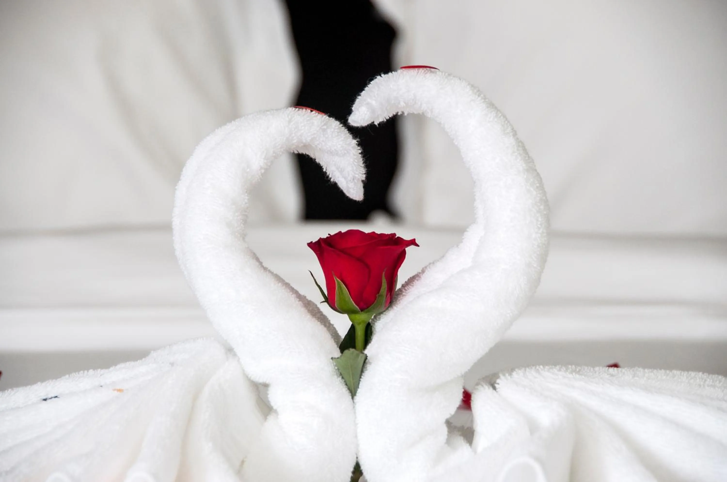 Decorative detail in Dylan Hotel Danang