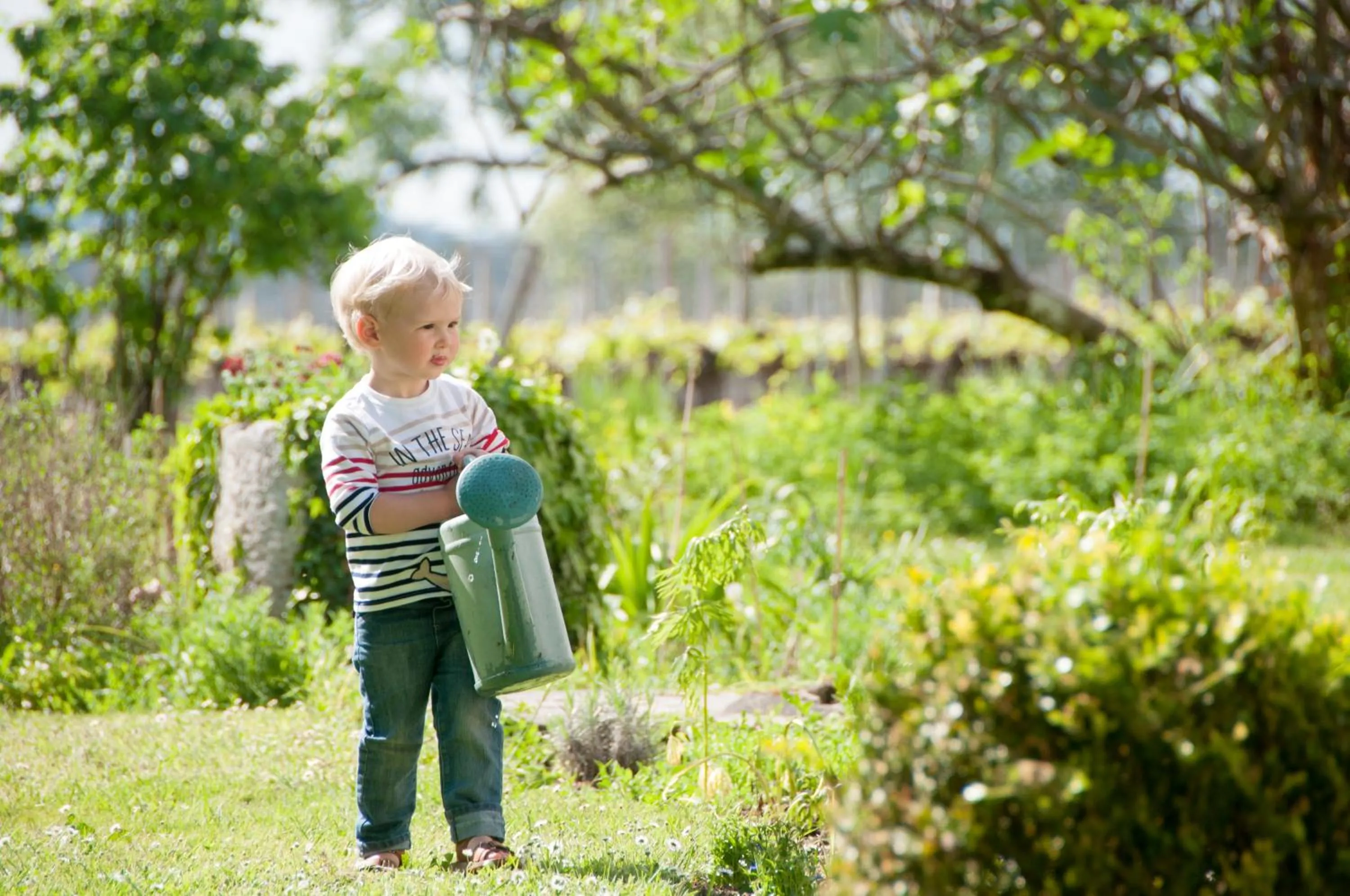 B&B Château Pierre de Lune