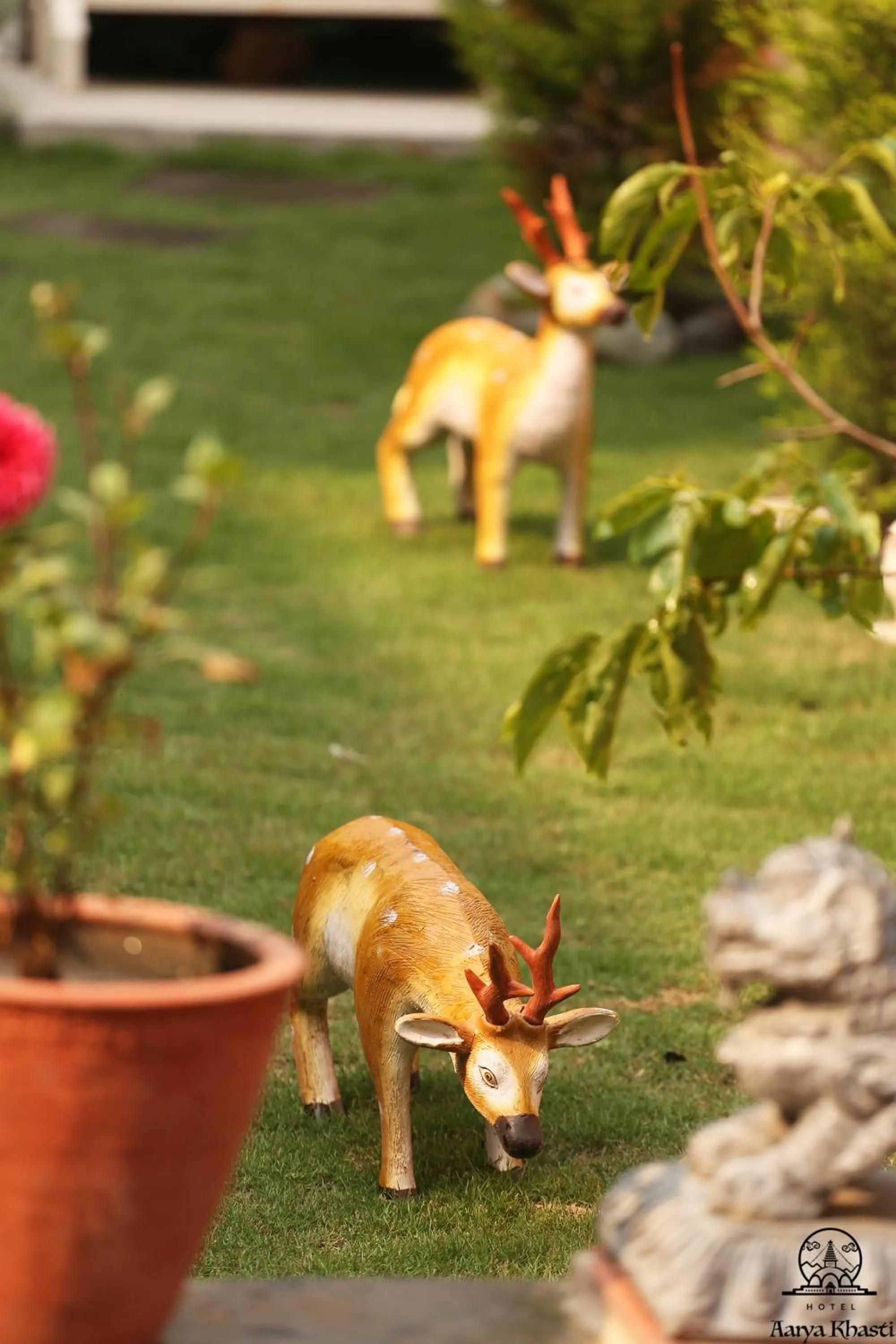 Garden in Aarya Chaitya Inn