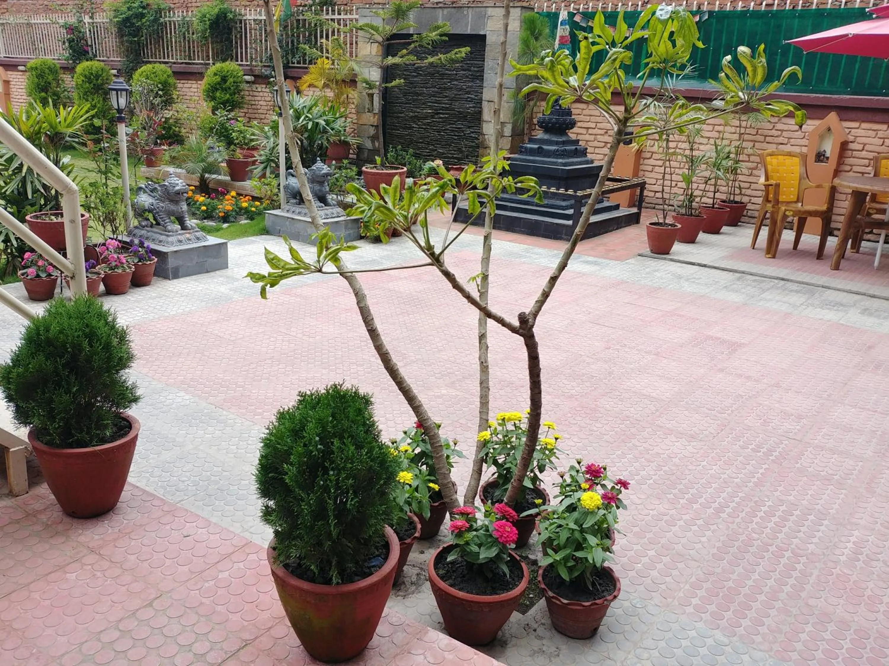 Garden in Aarya Chaitya Inn