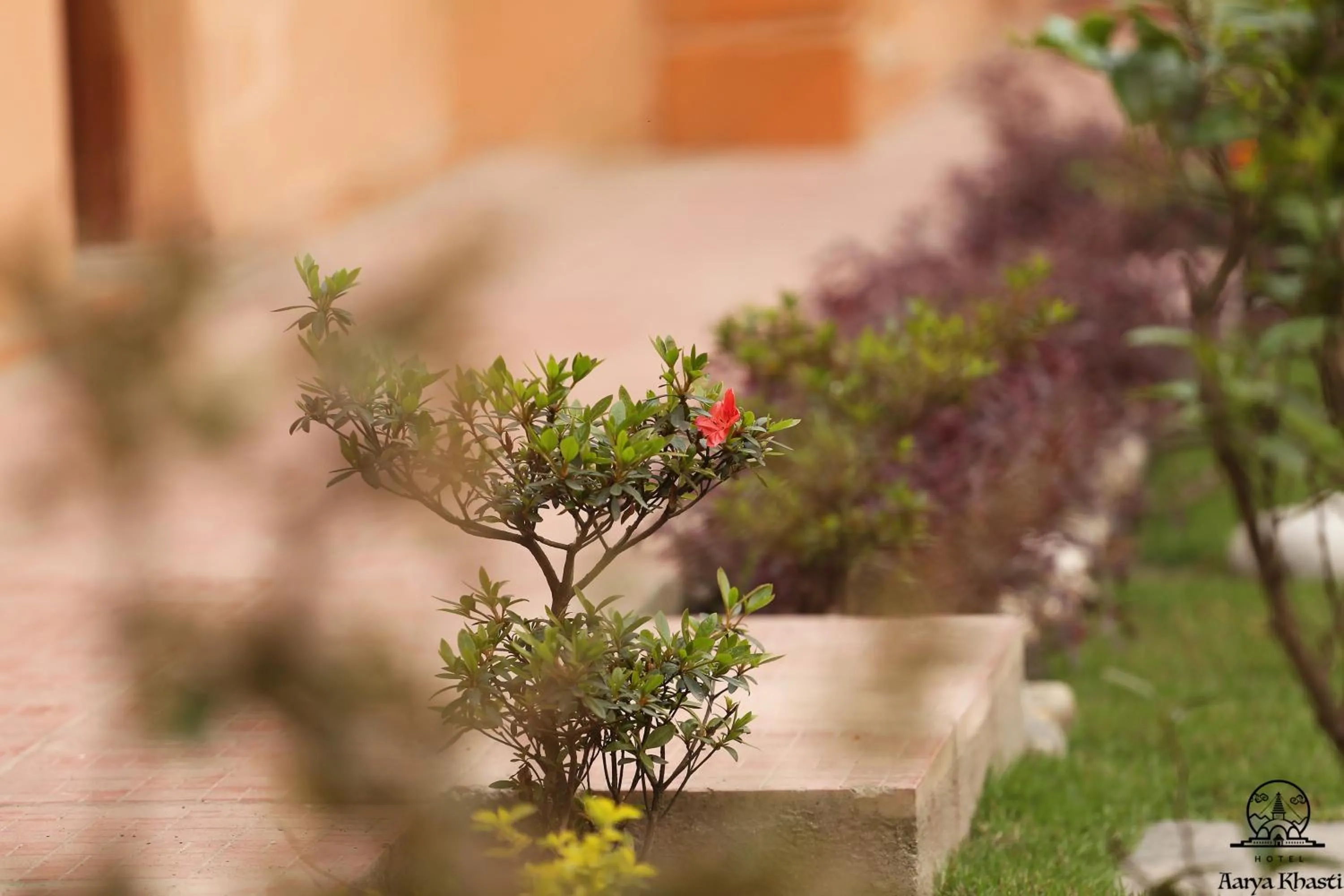 Garden in Aarya Chaitya Inn