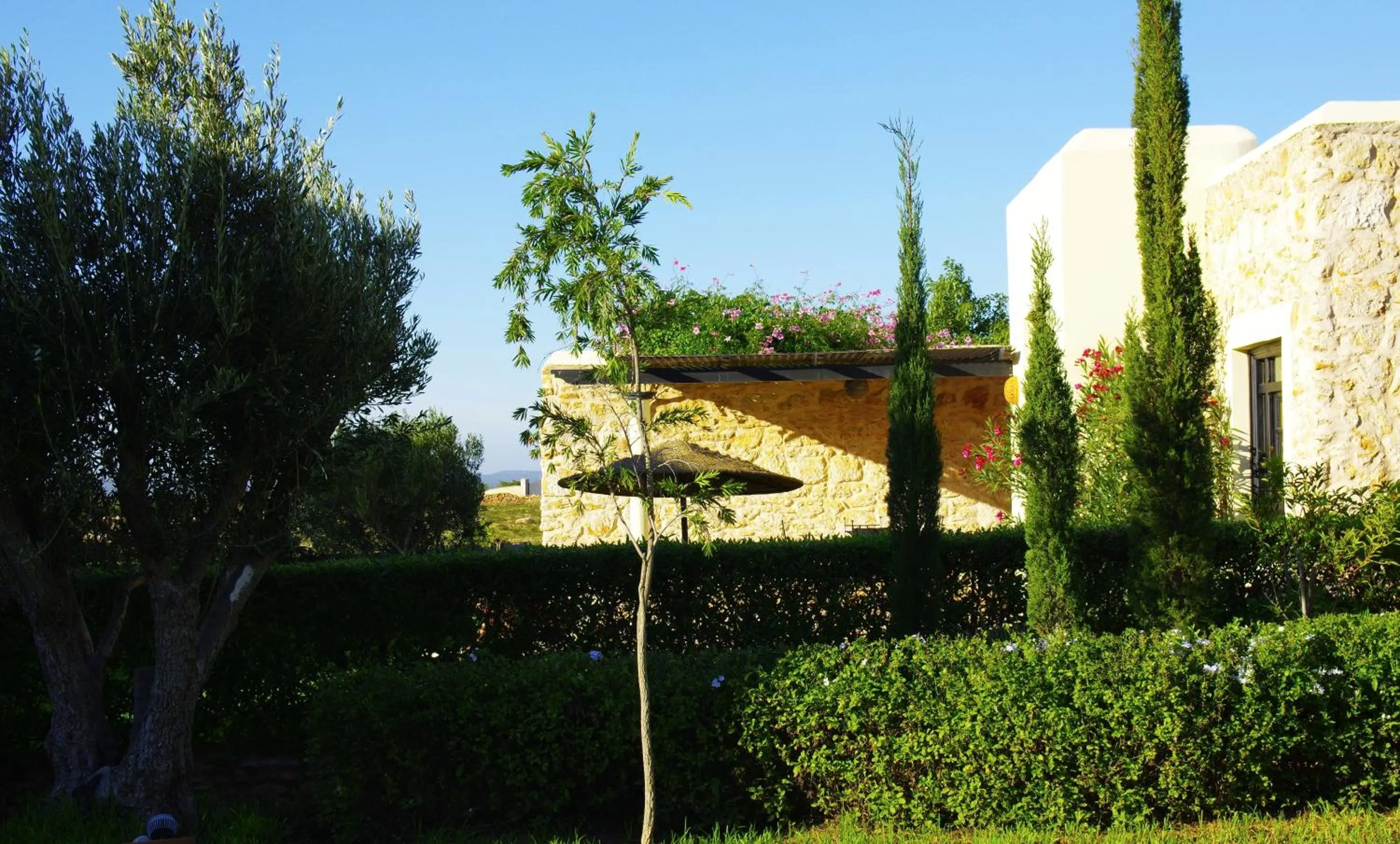 Garden in Essaouira Lodge