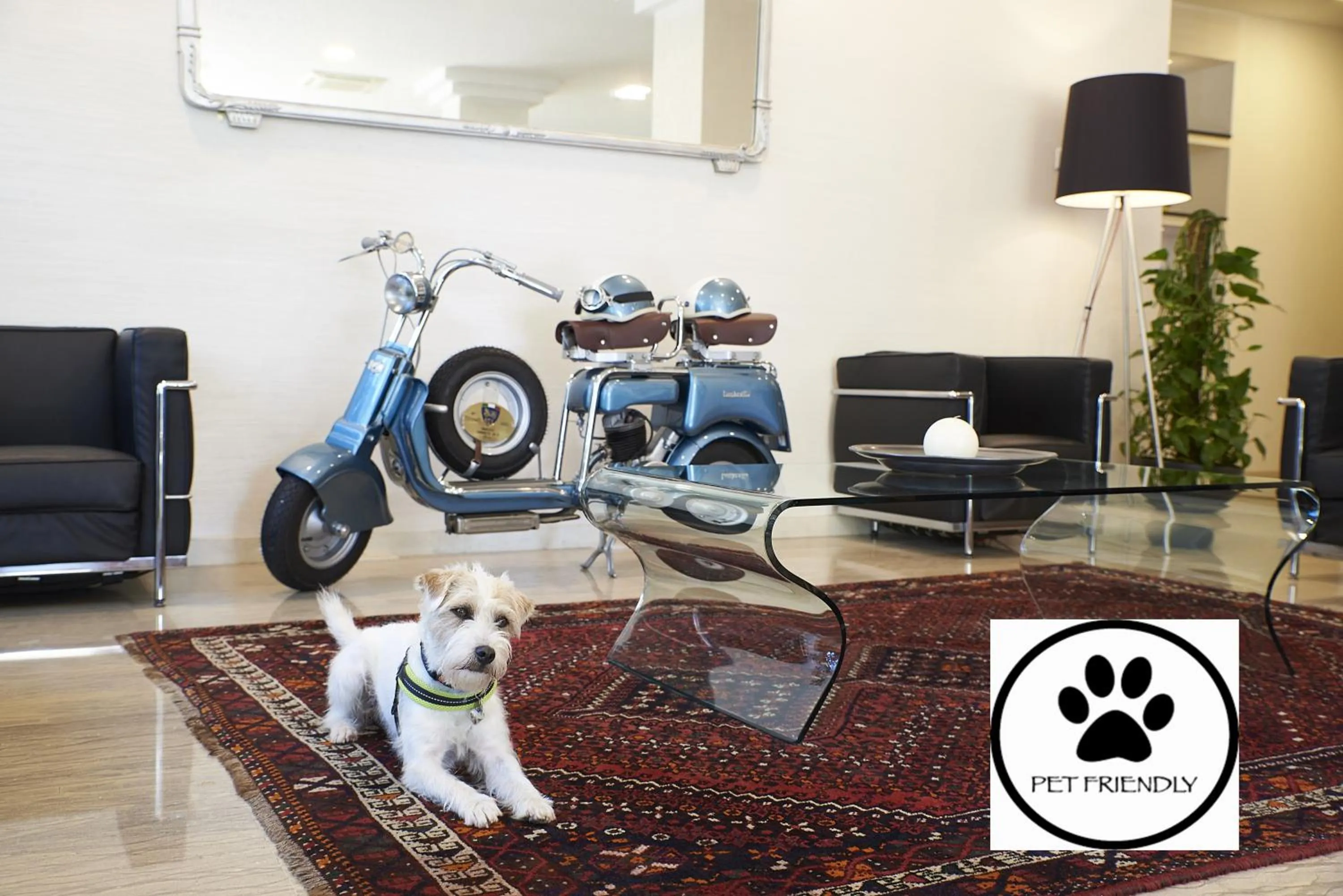 Pets in Alisei Palace Hotel