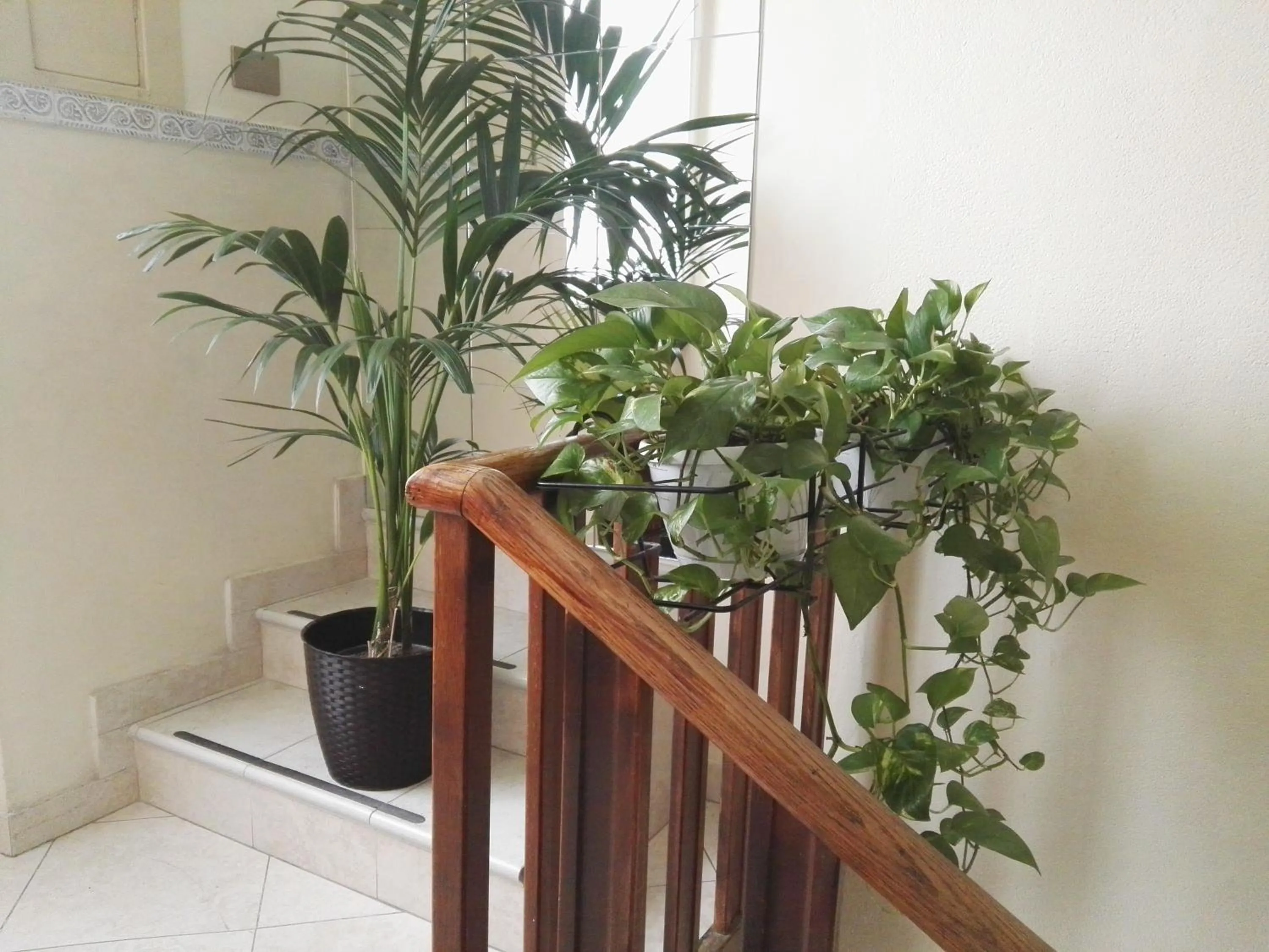 Area and facilities in Hotel Loreto