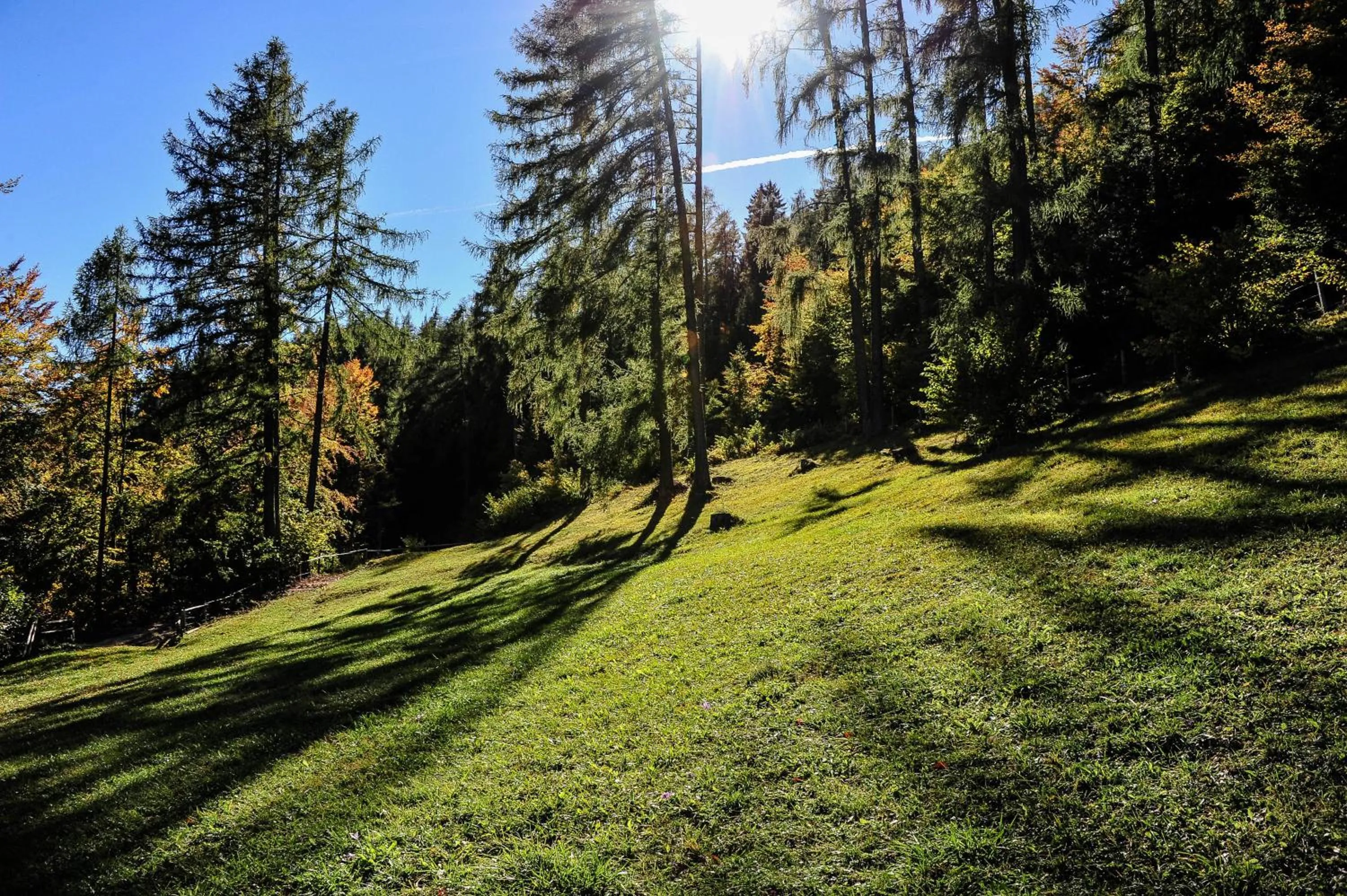 Day in Hotel Ludwigshof & Luvina