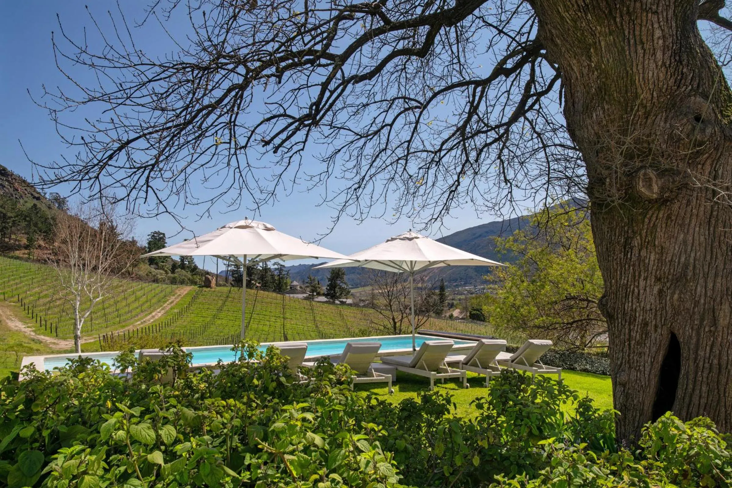 Garden view in Mont Rochelle Hotel and Vineyard