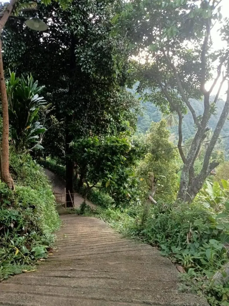 Sekumpul Local House