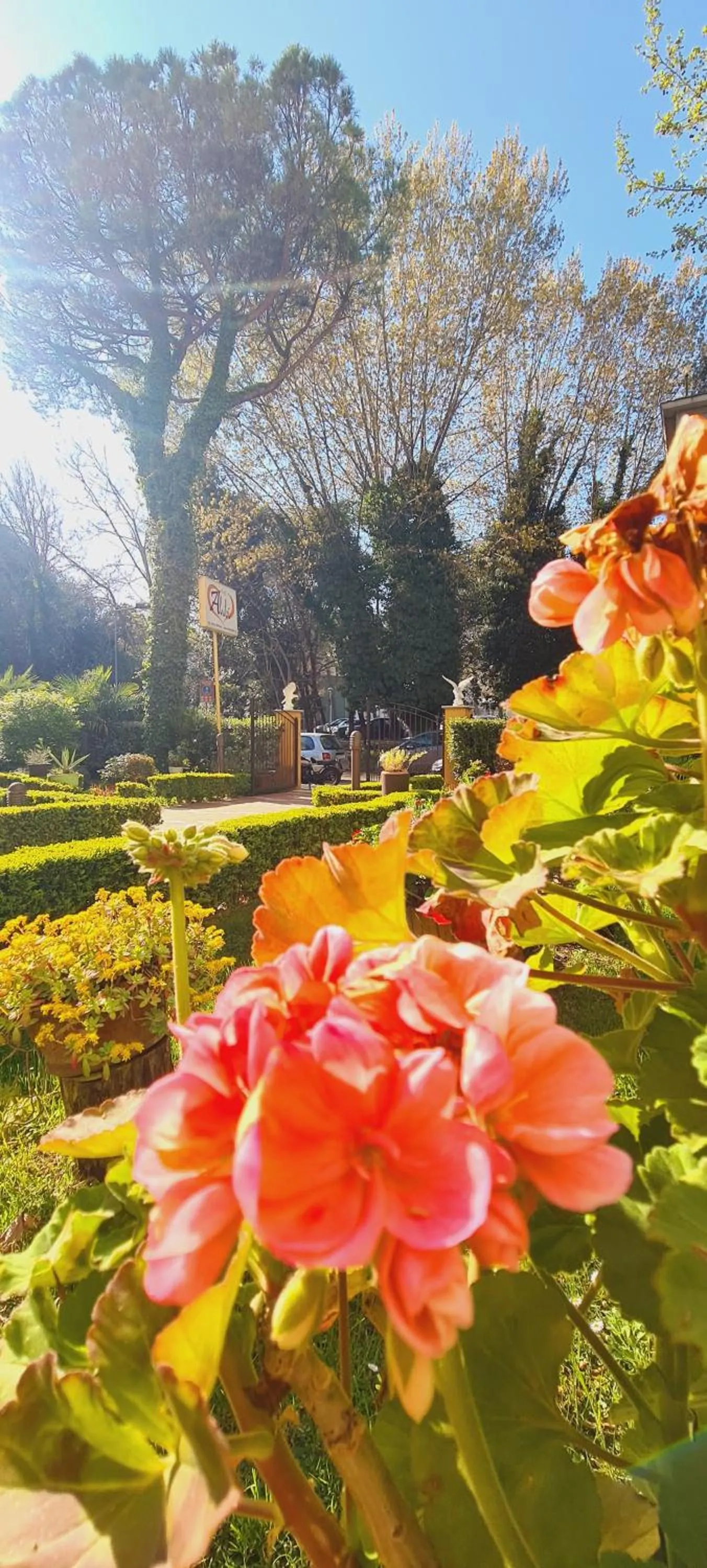 Summer in Hotel Alibi