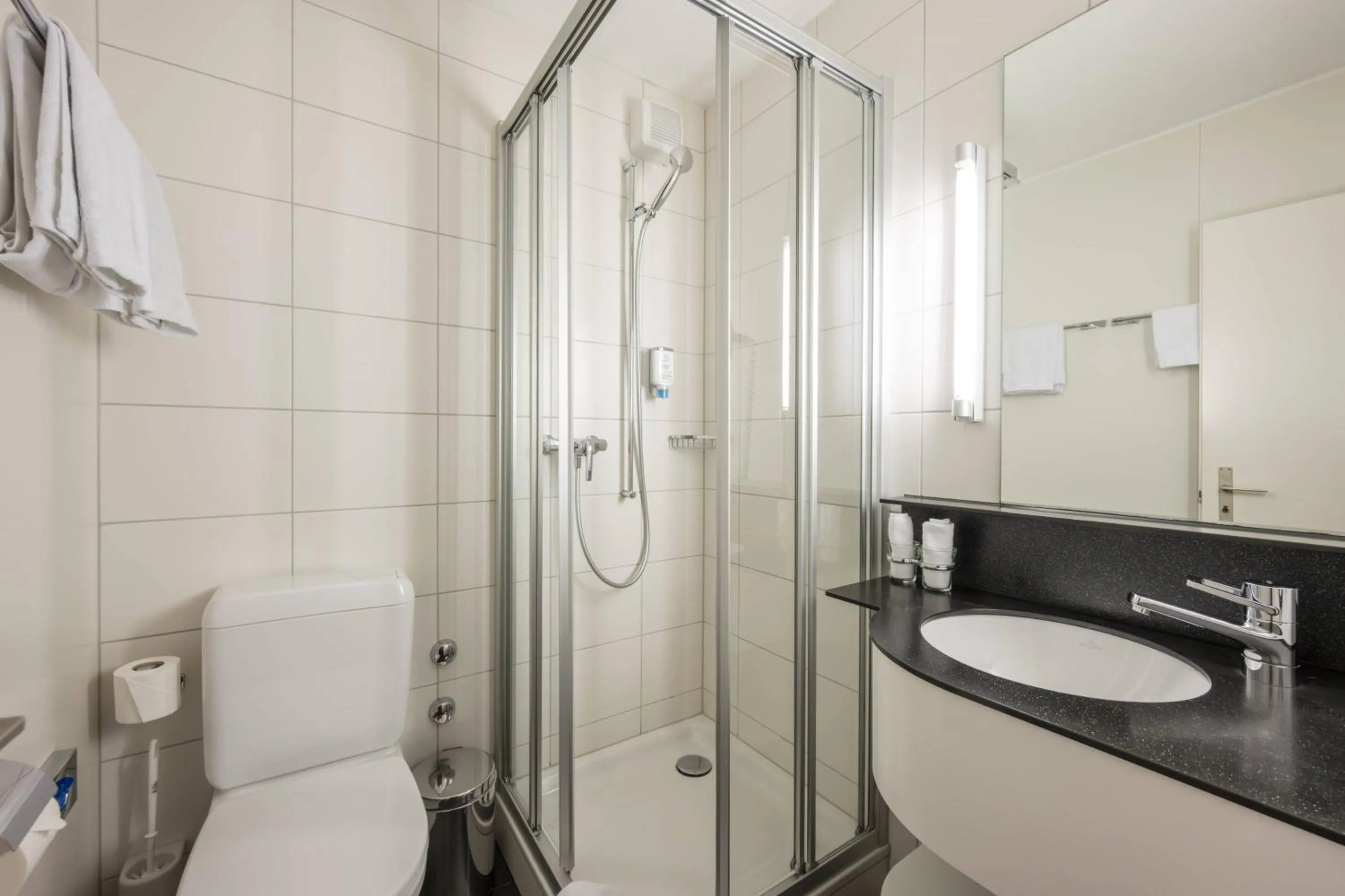 Toilet in Hotel Restaurant Bänklialp