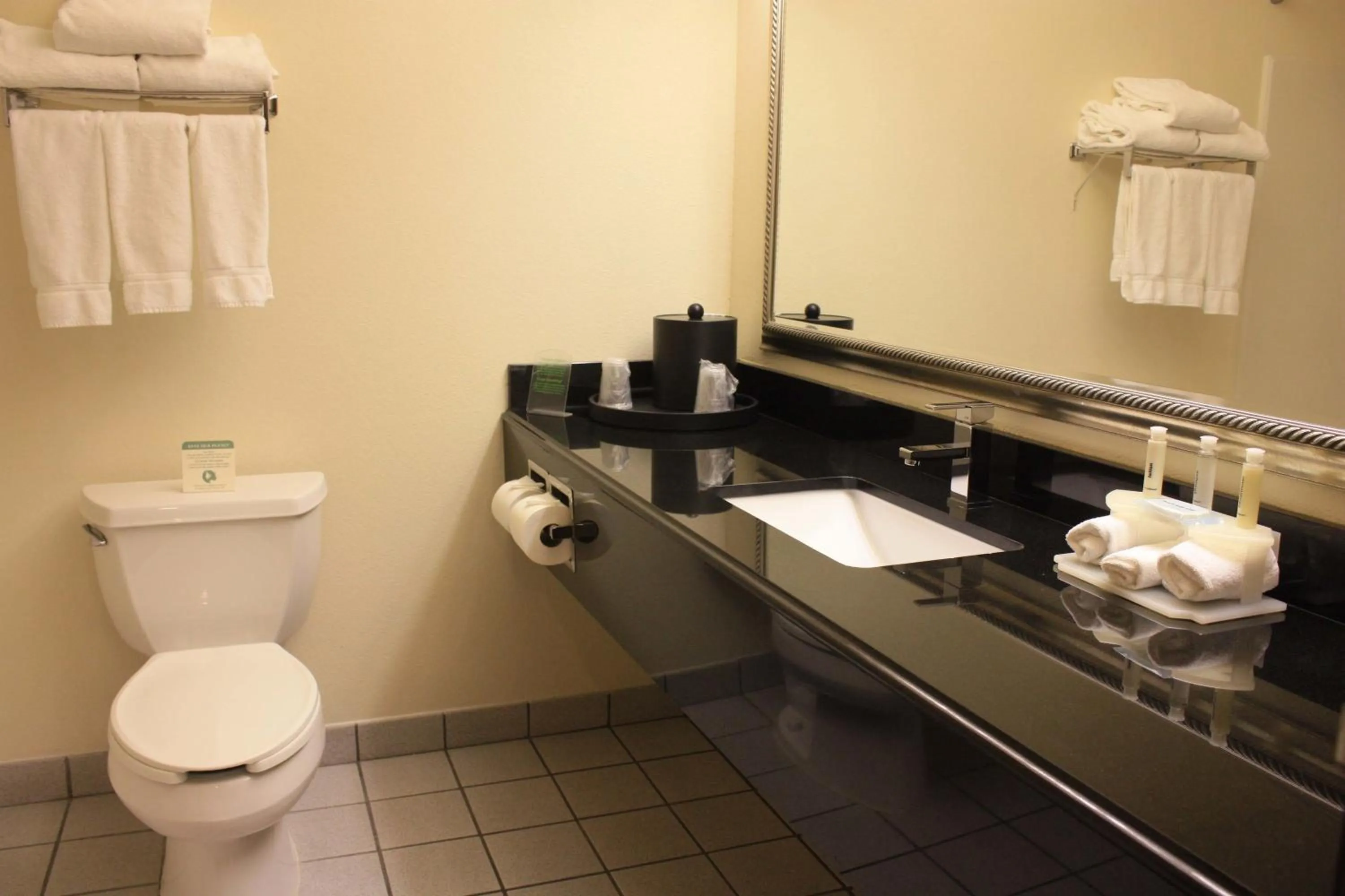 Bathroom in Holiday Inn Express Pendleton by IHG