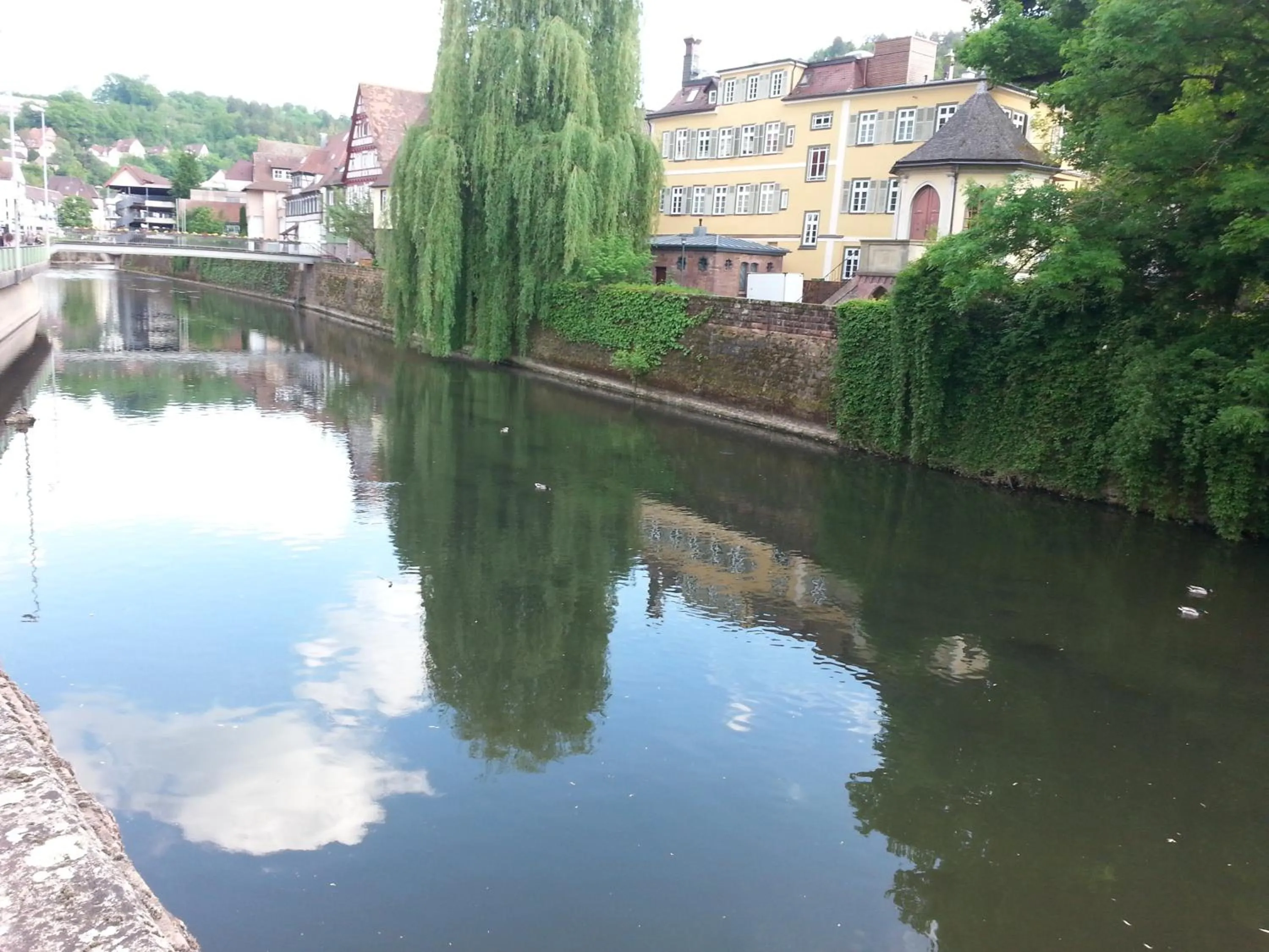 River view in Ferienwohnung Hermann Hesse Stadt