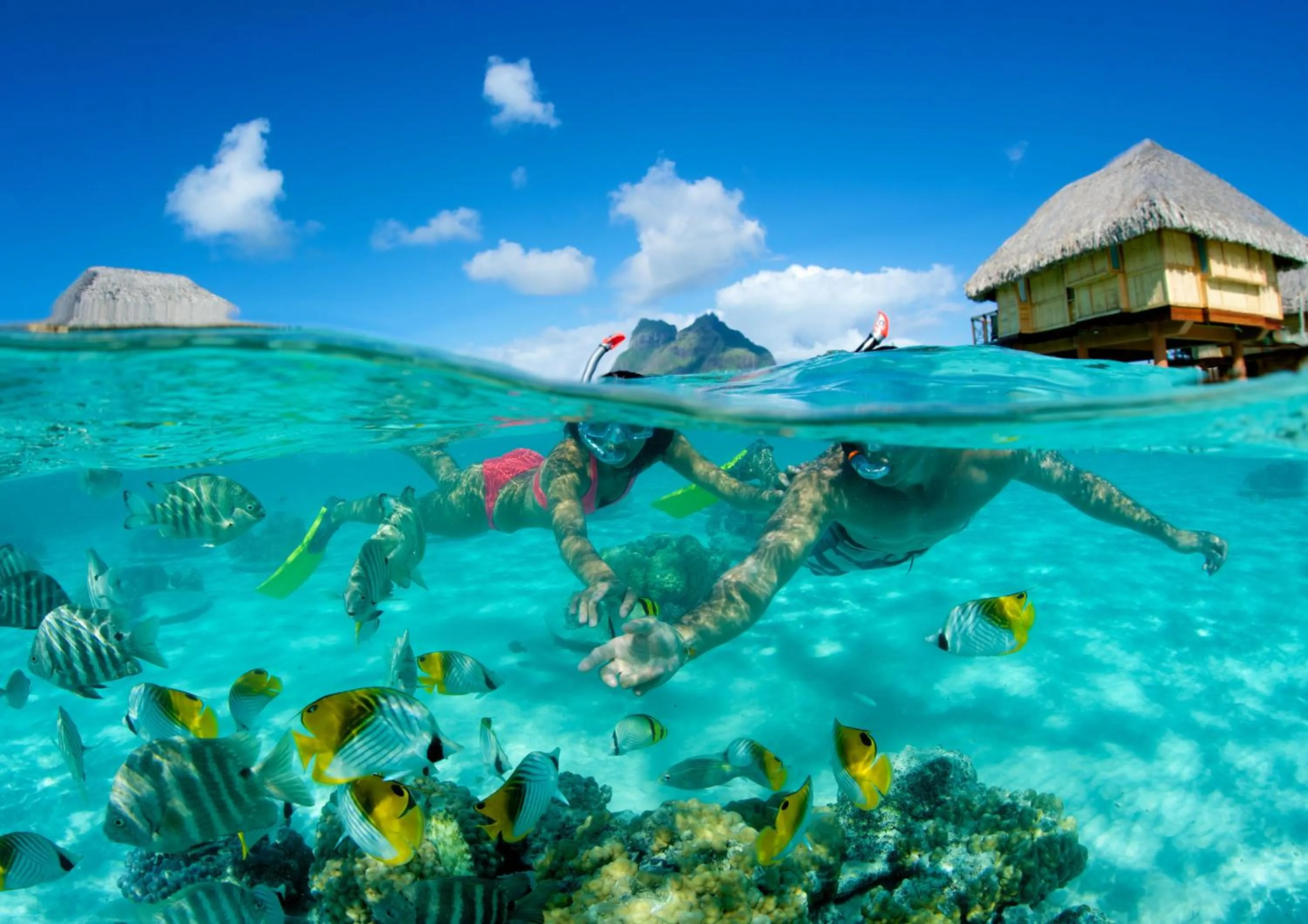Snorkeling in Le Bora Bora by Pearl Resorts