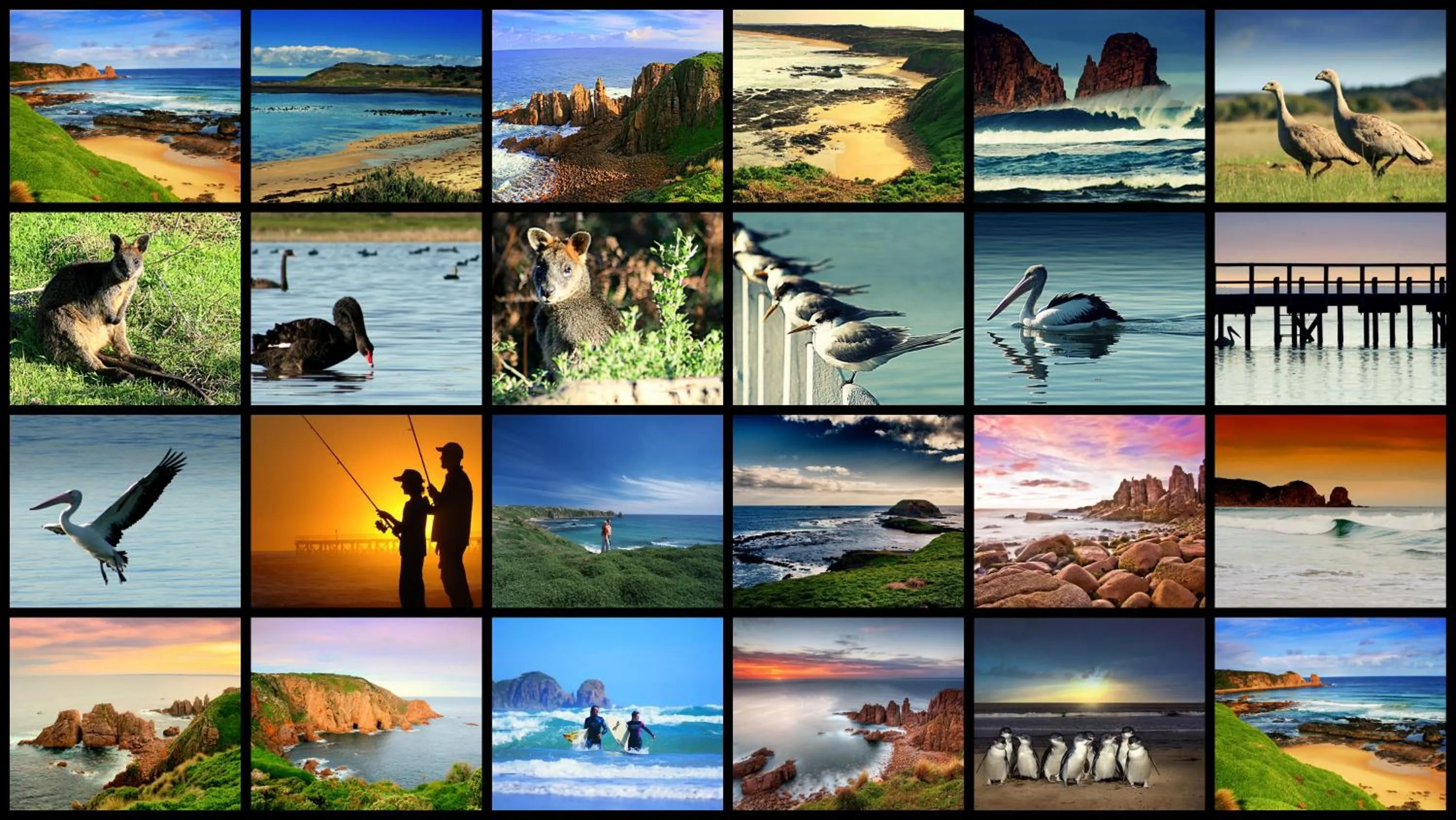 Natural landscape in The Island Accommodation