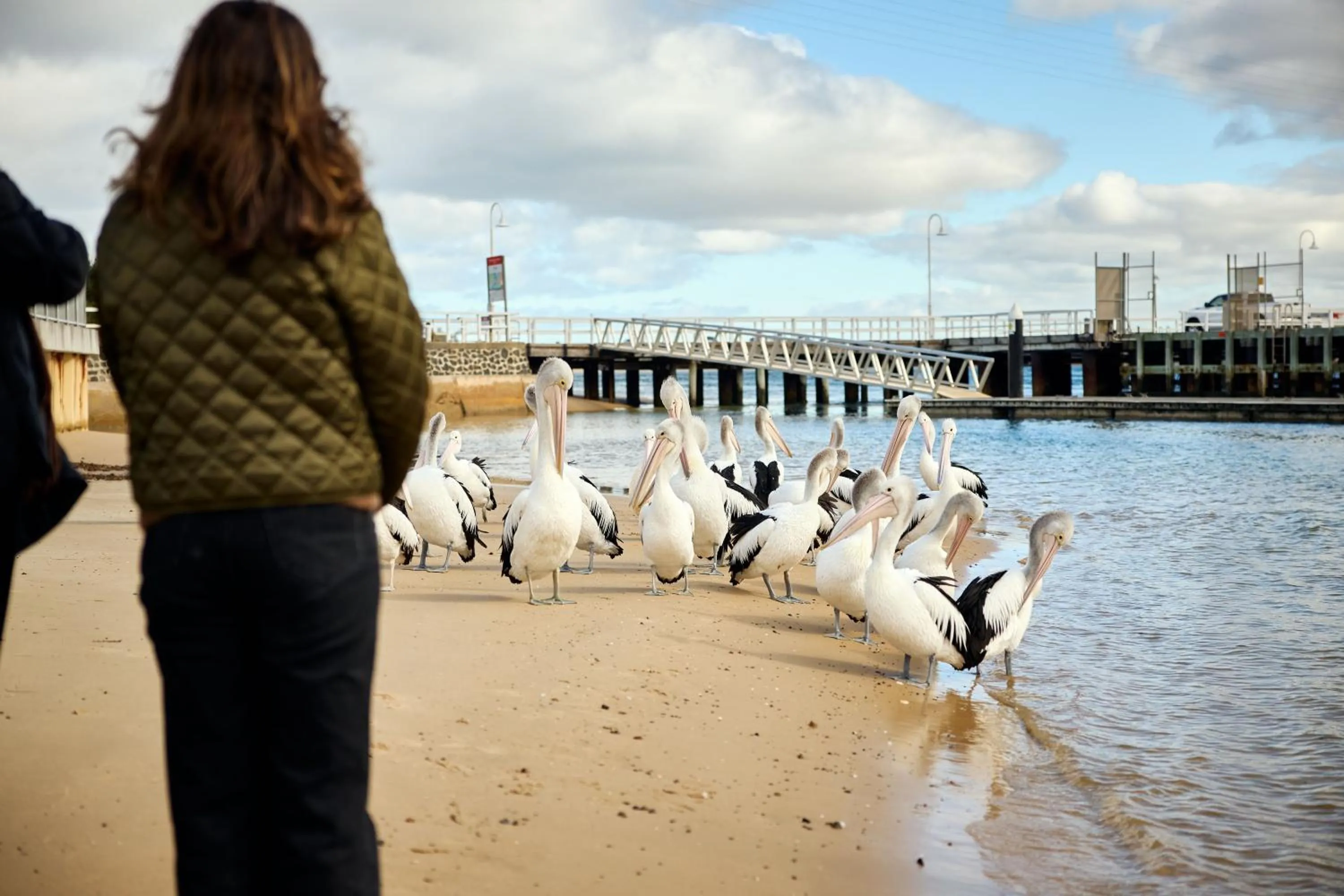 Day in The Island Accommodation