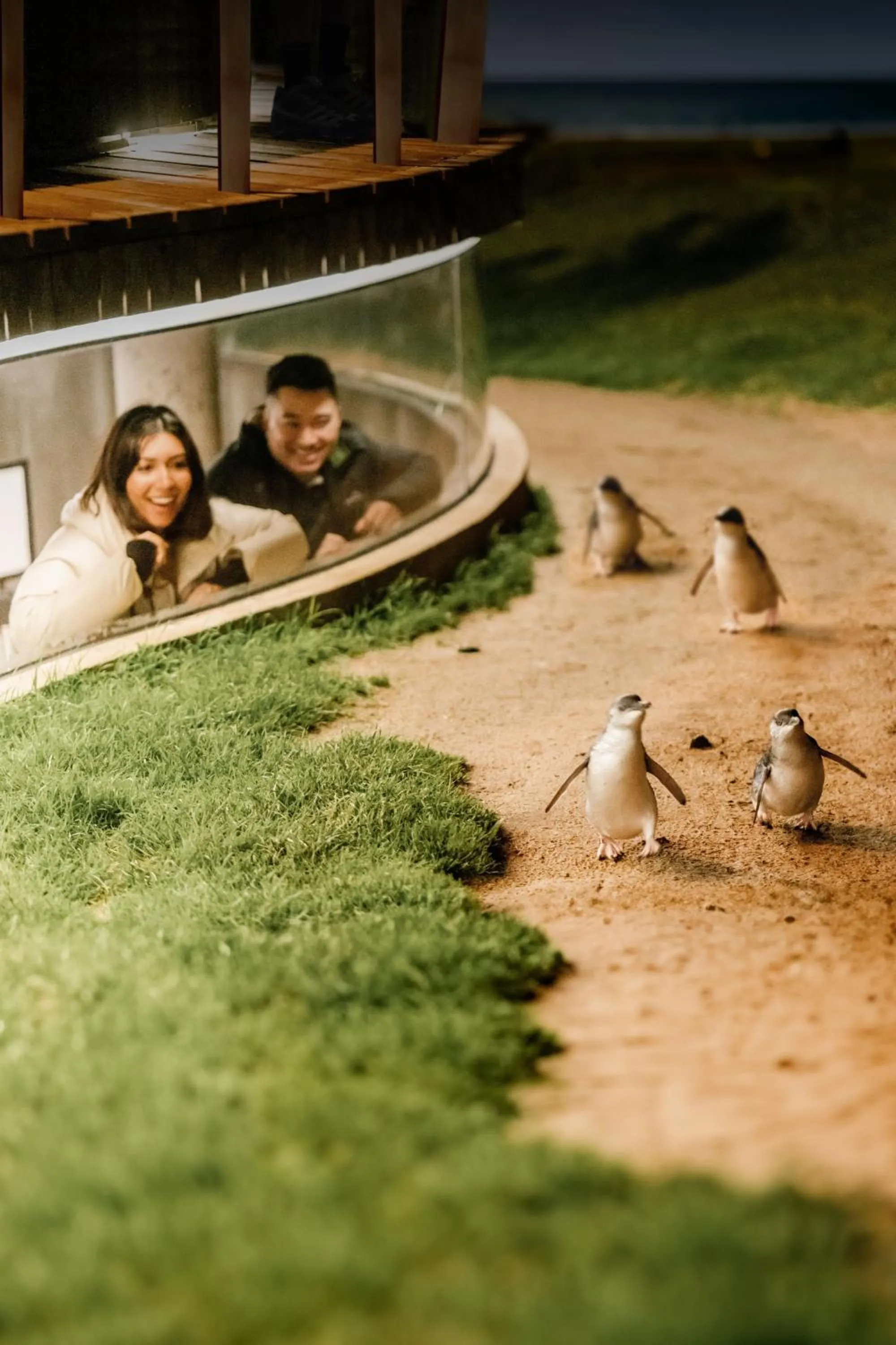 Night in The Island Accommodation