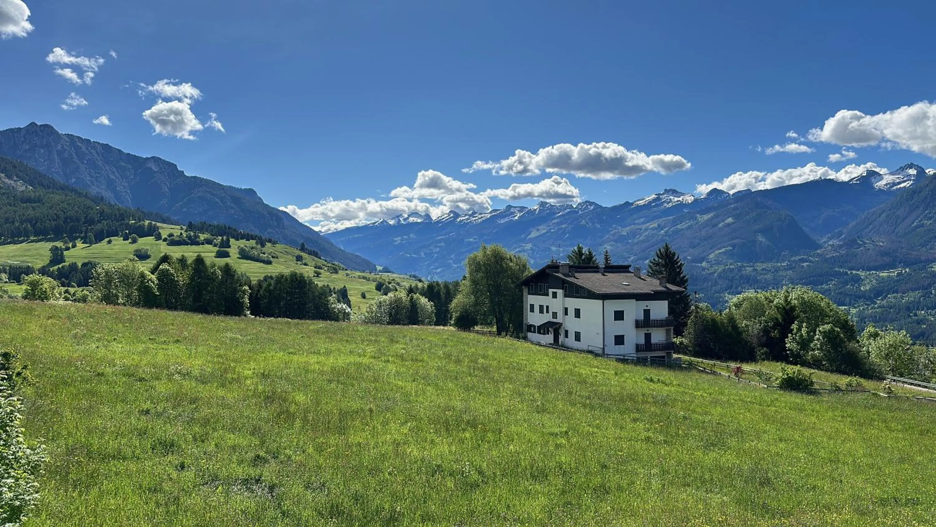 Garden view in Hotel Garni Edy