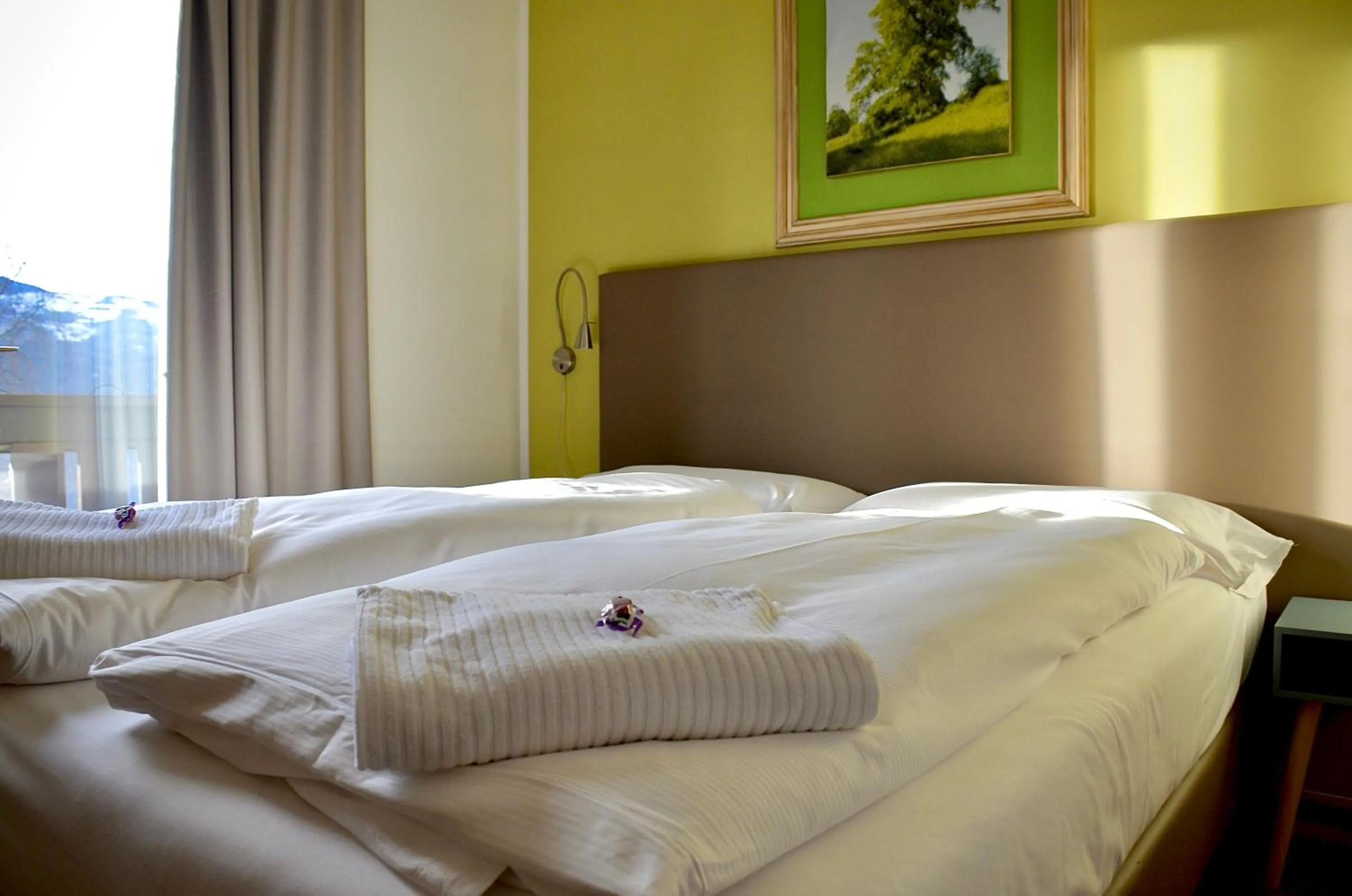Classic Double or Twin Room - single occupancy in Hotel Garni Edy
