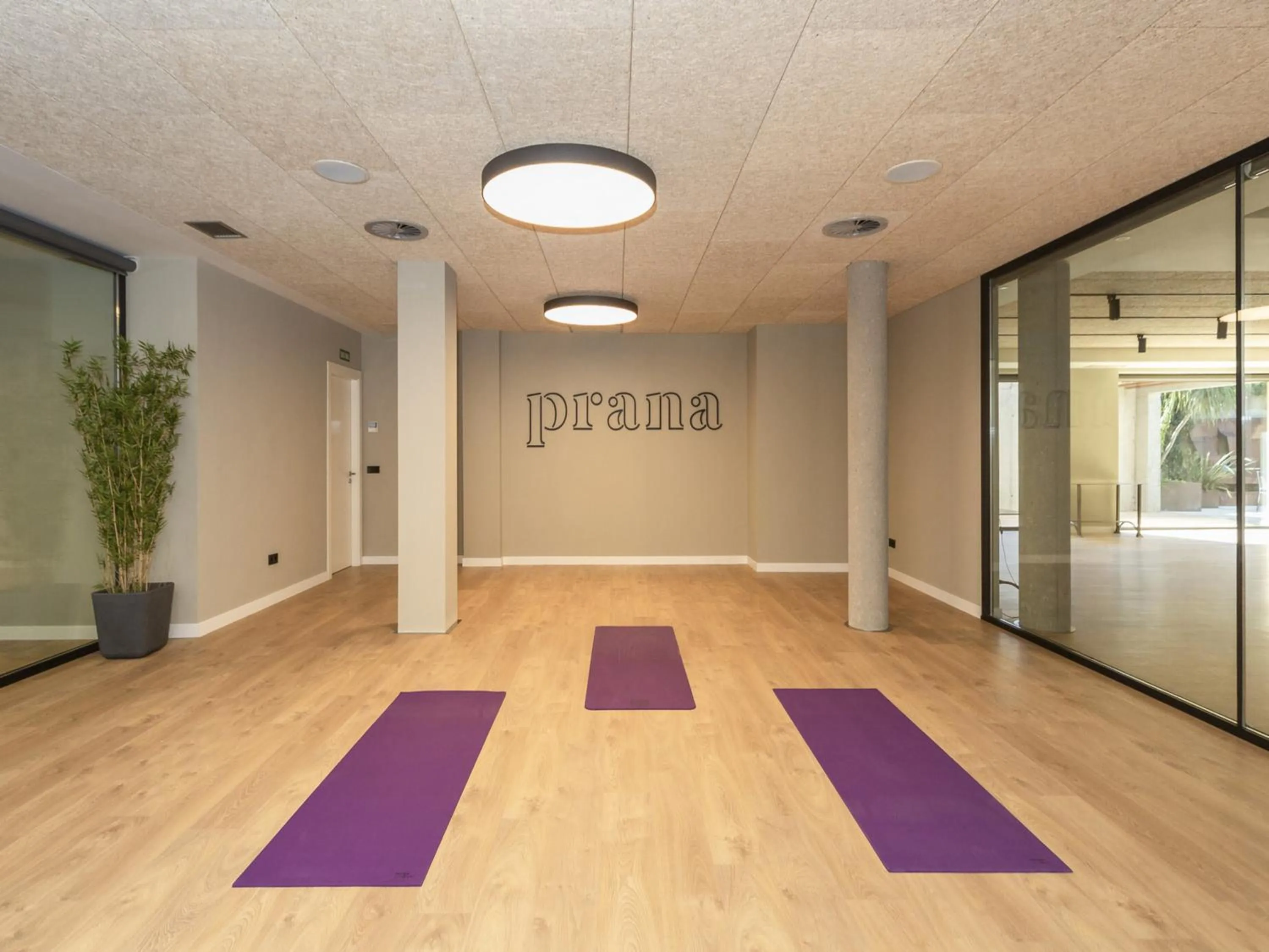 Activities in ARTIEM Asturias