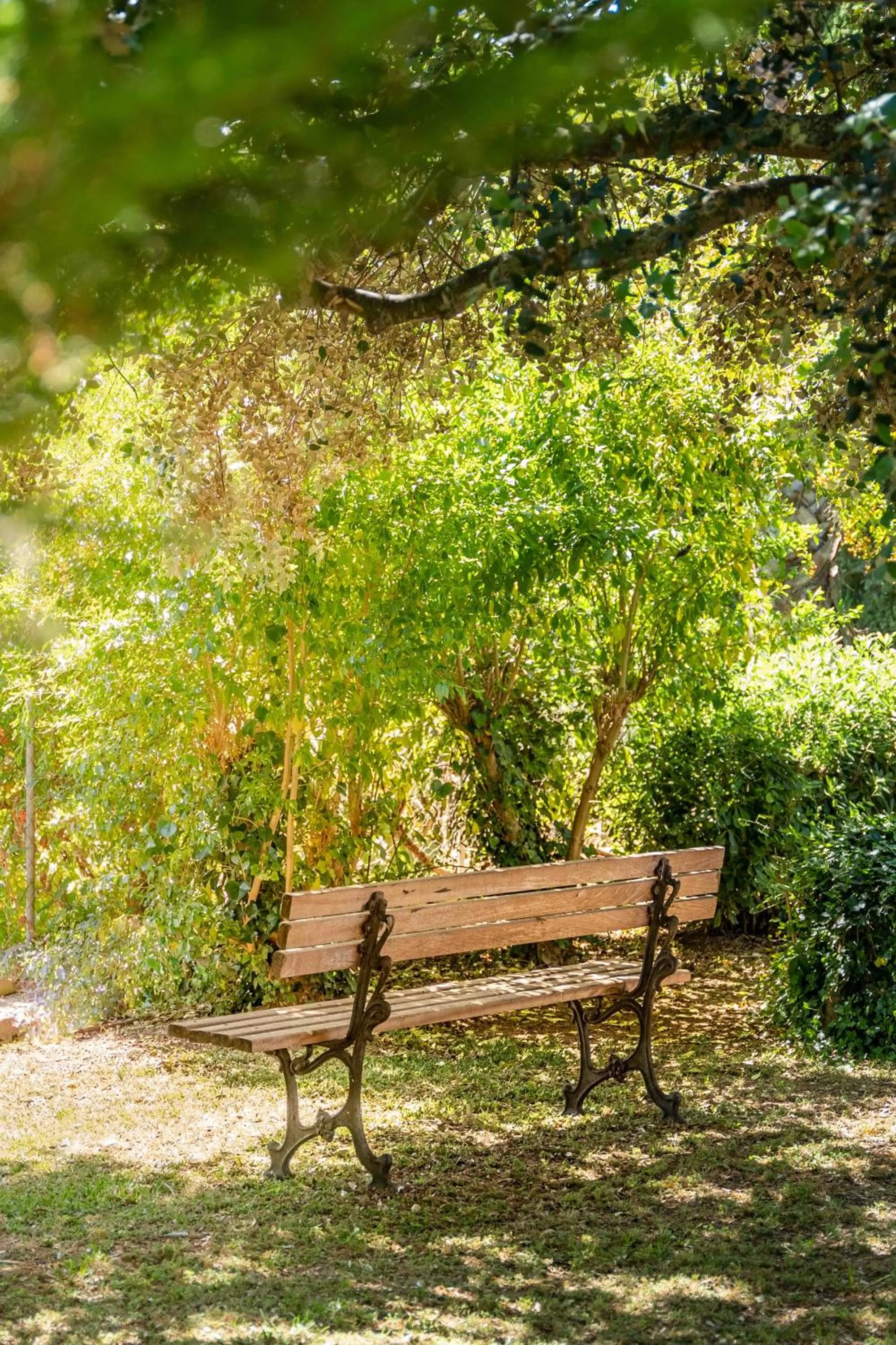 Garden in Finca Ca'n Quatre