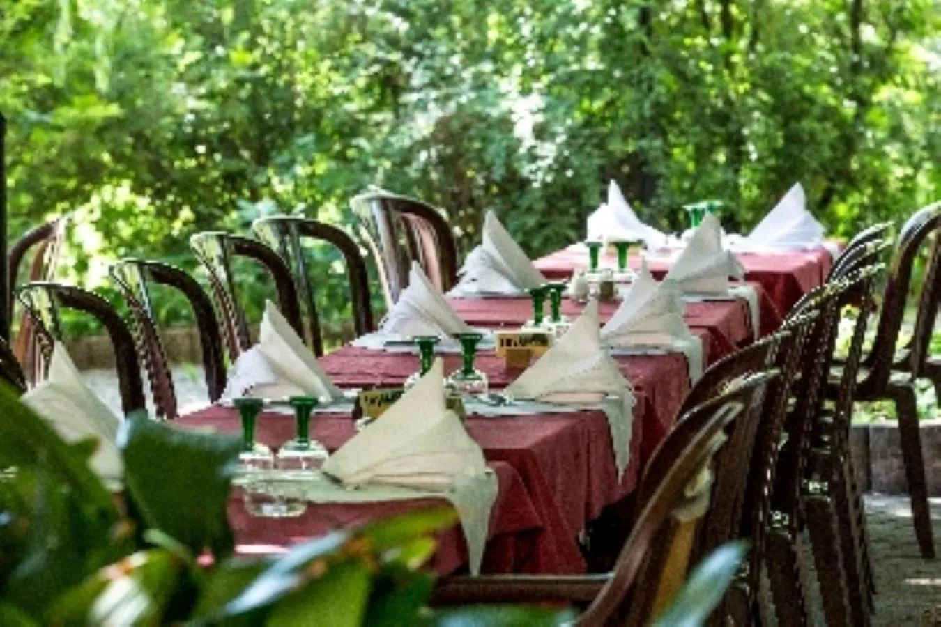 Garden in Hôtel Restaurant Pavillon Carina