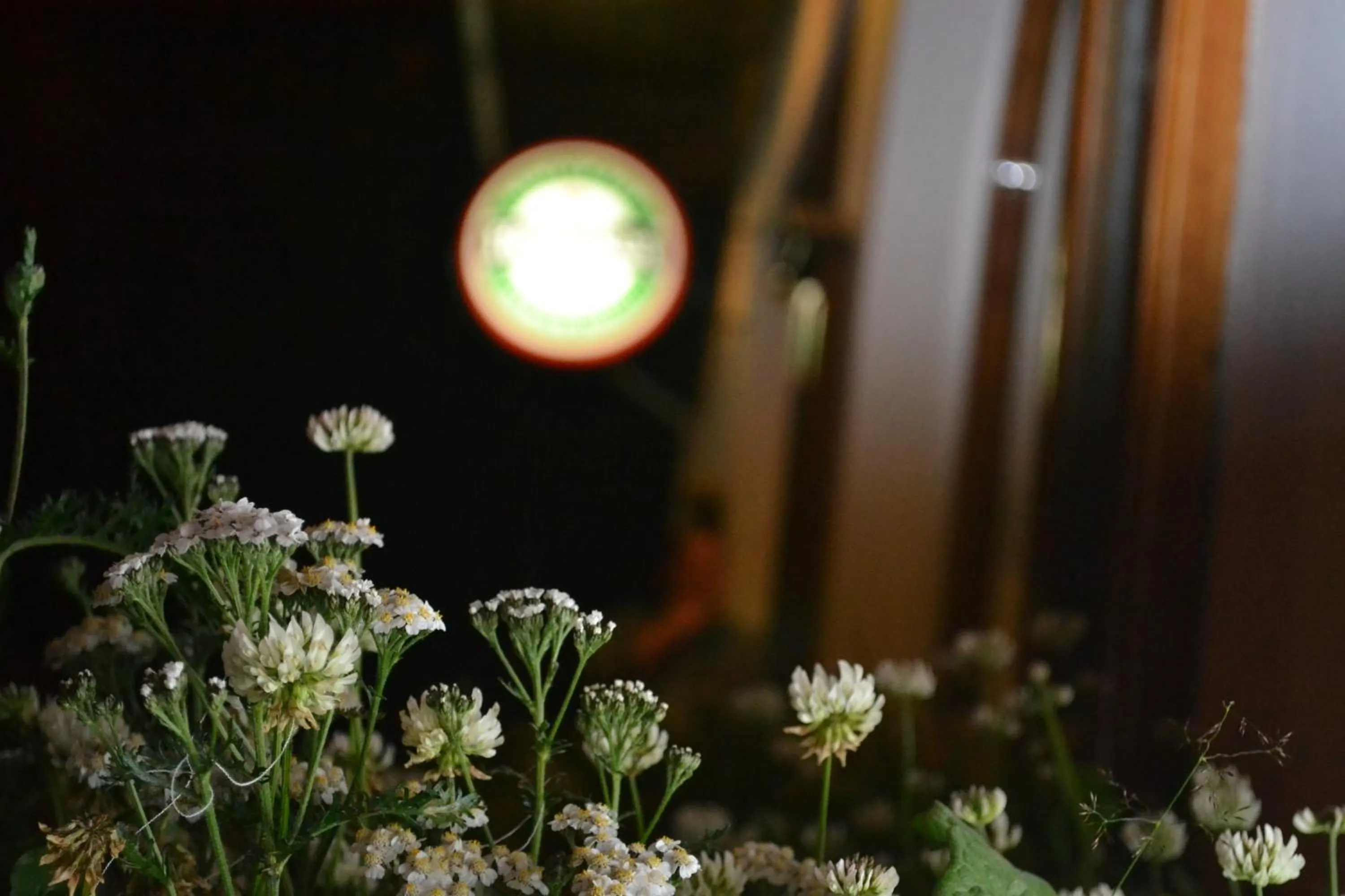 Restaurant/places to eat in Hosteria y Restaurante America