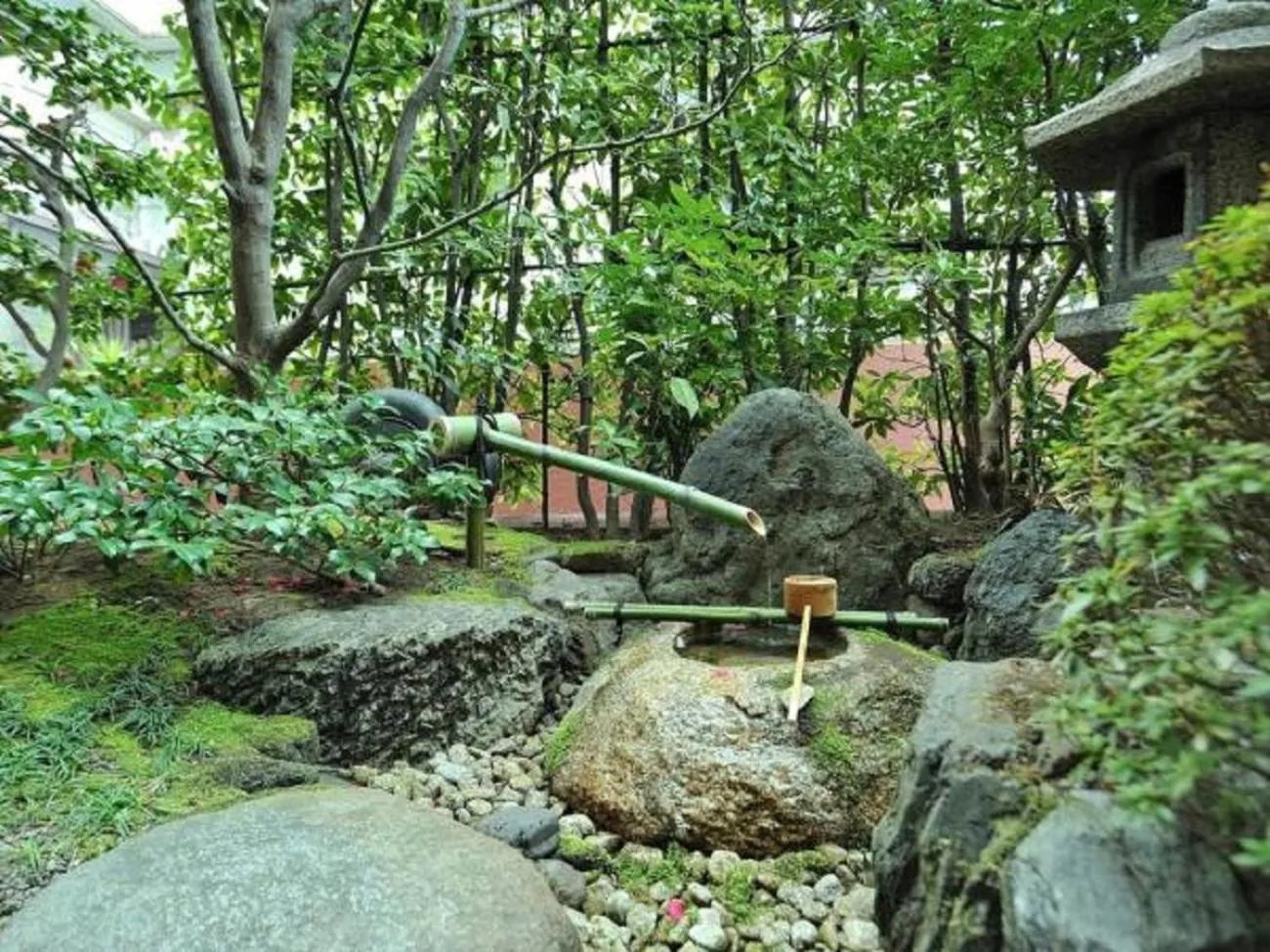 Garden in Kyoto Horikawa Inn