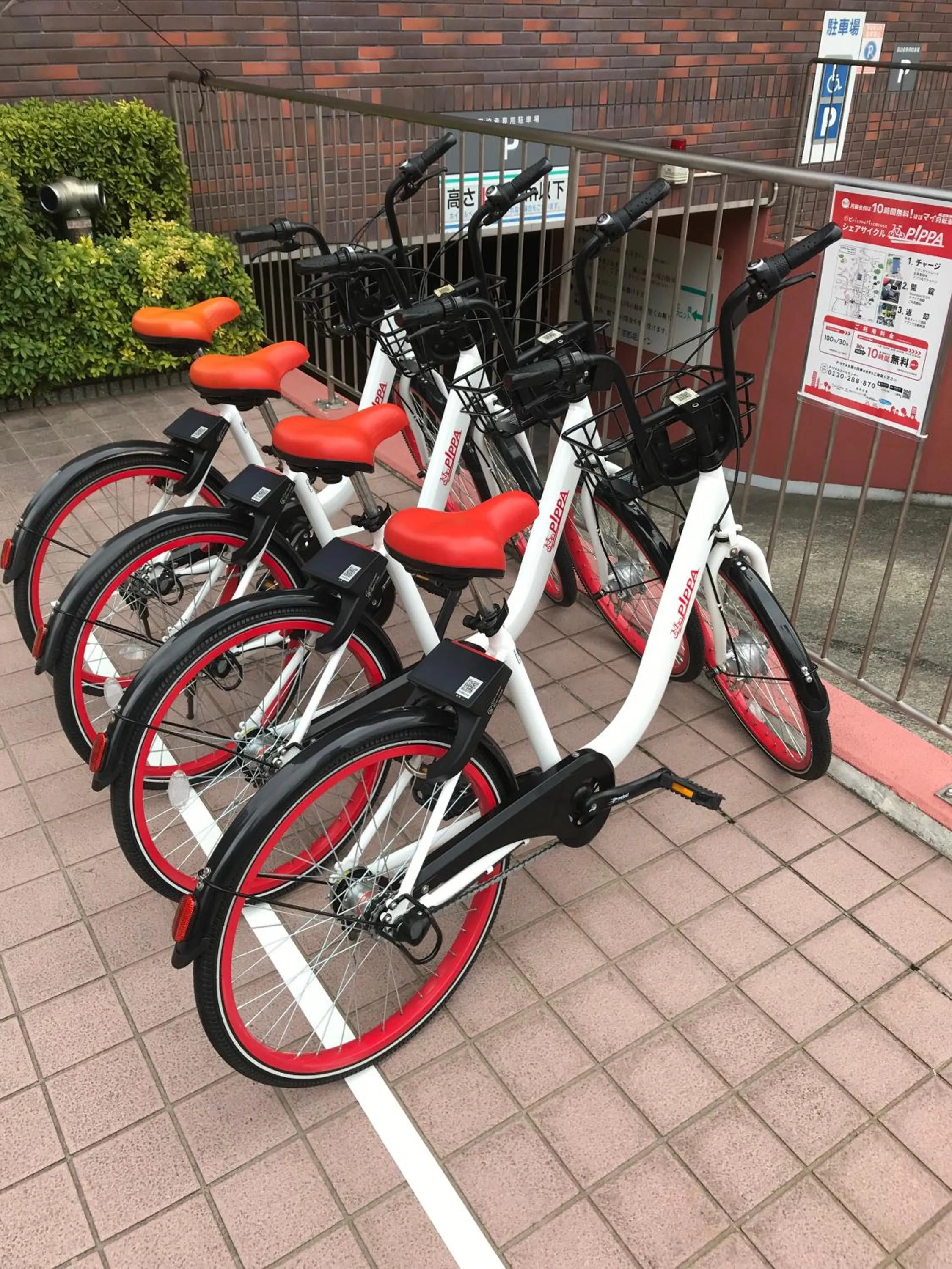 Cycling, Other Activities in Kyoto Horikawa Inn