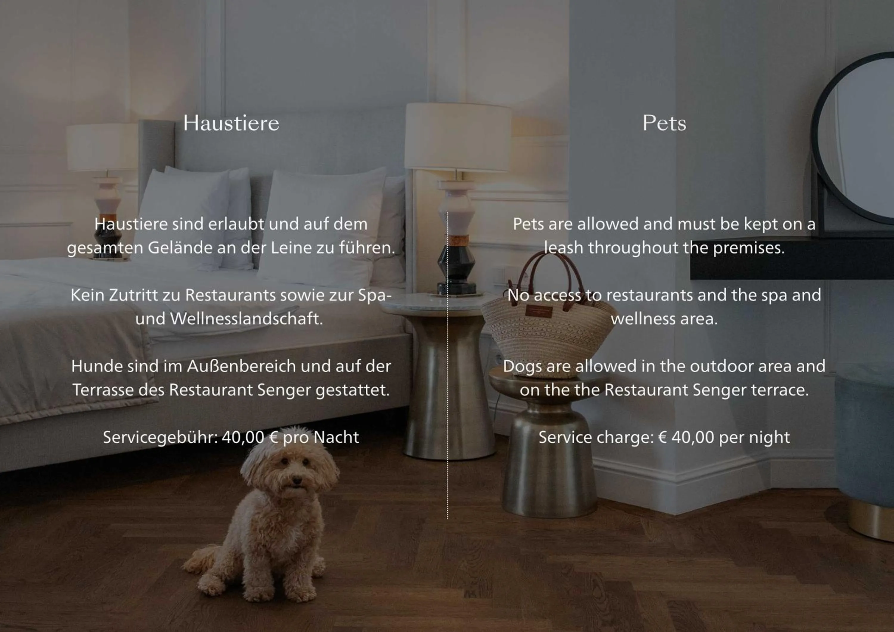 Pets in Das Tegernsee