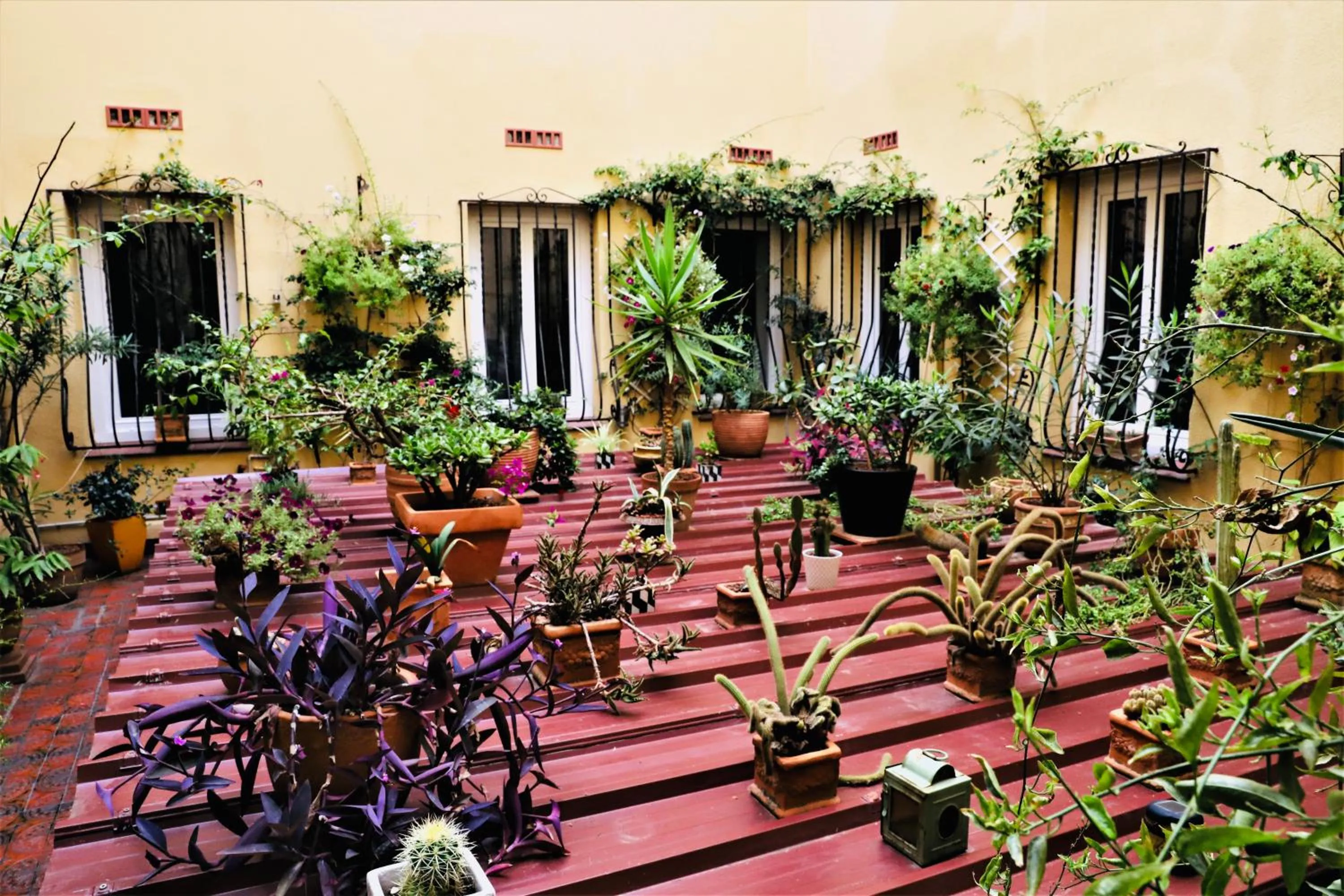 Patio in Hôtel De La Loge